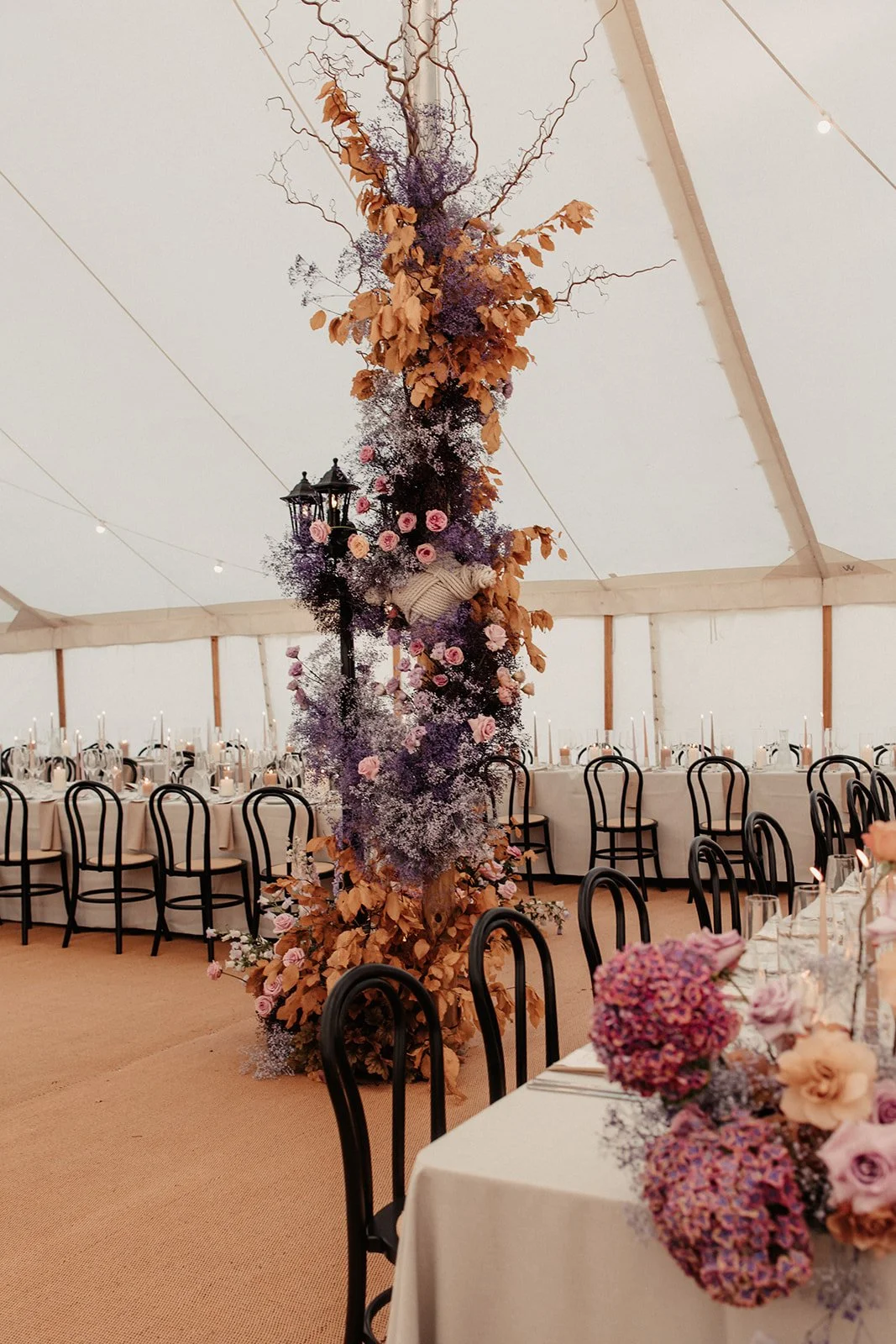 Reece & Emily's Wilderness Reserve Wedding-1586.jpg