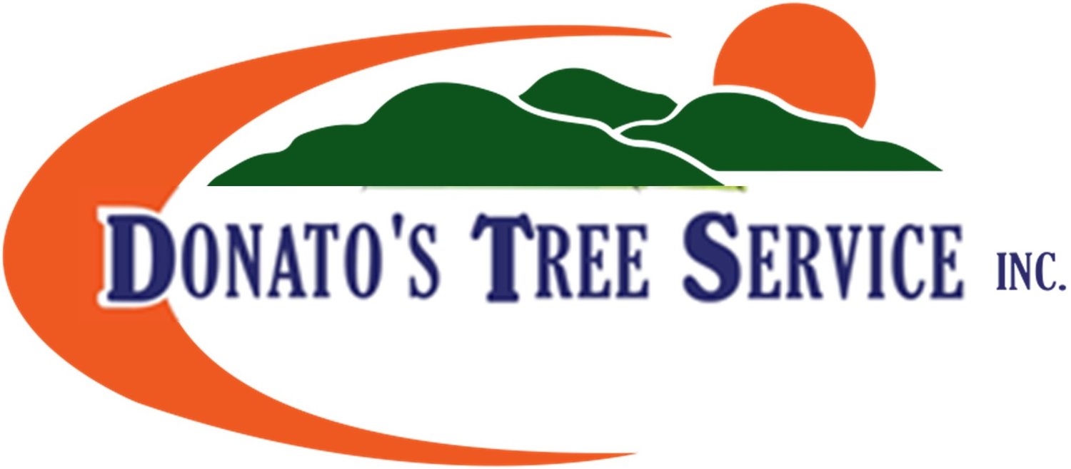 Donato&#39;s Tree Service