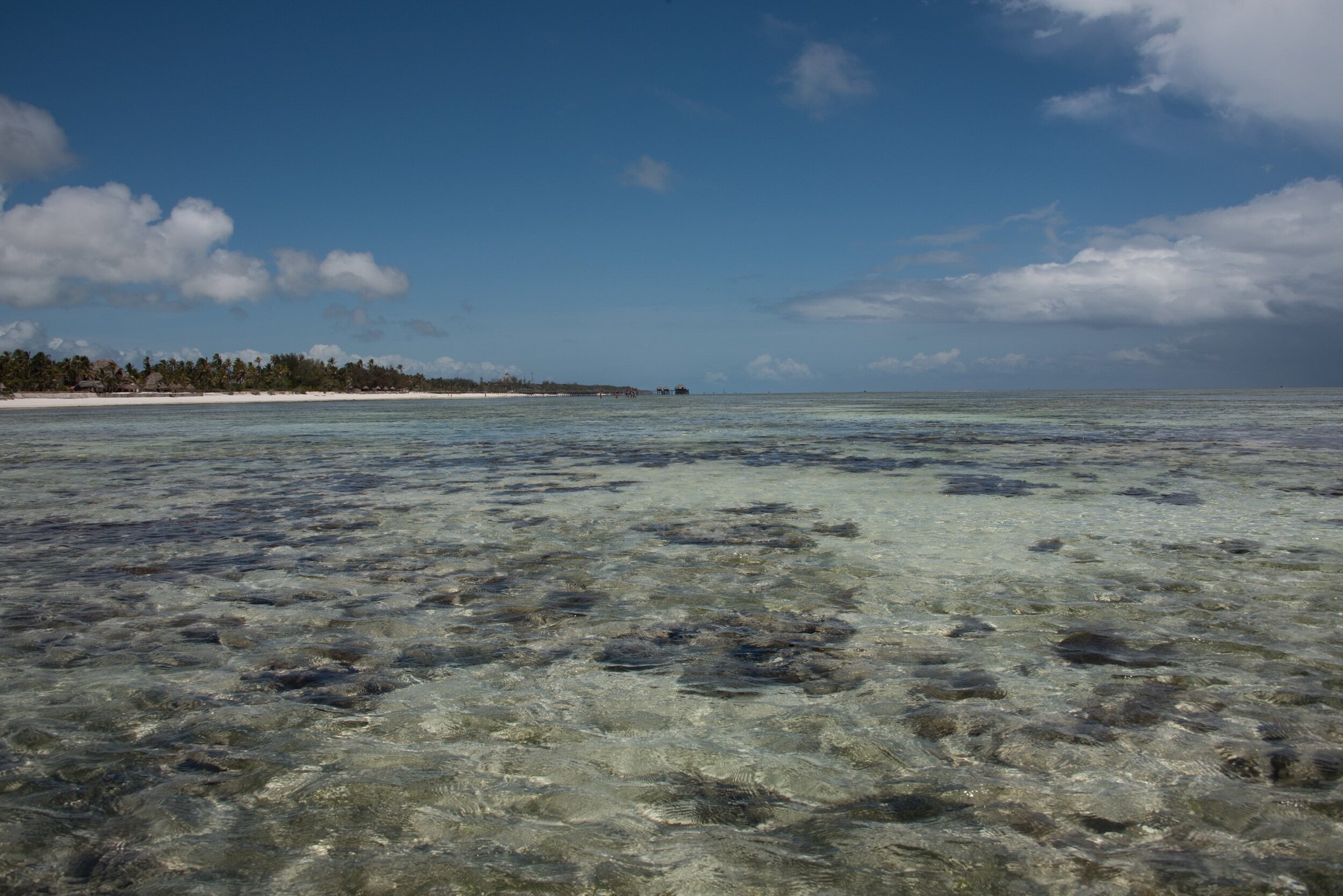 Stonetown Zanzibar Nikon D810 28mm (28-300mm) 1/320 f.14 ISO 125