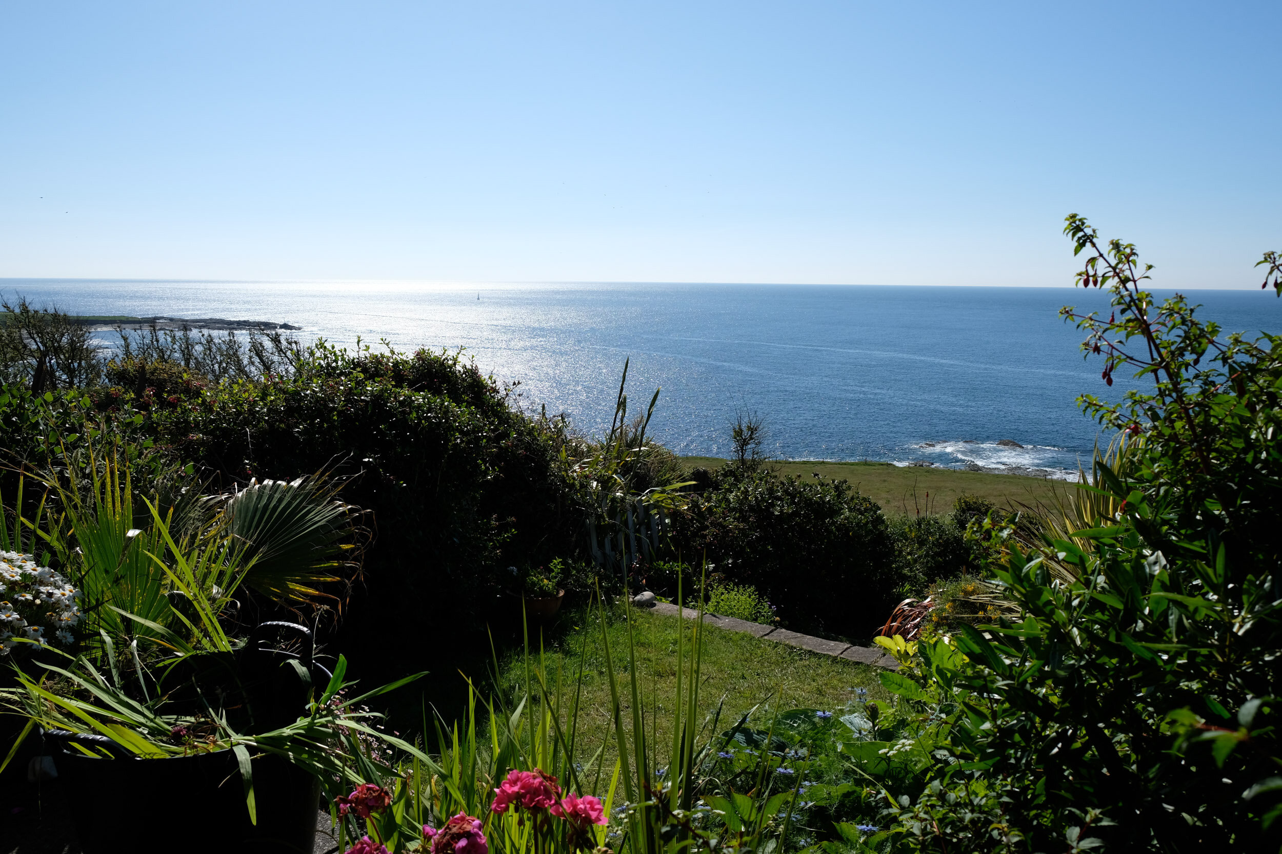 Lush garden with various plants overlooking a blue ocean under a clear sky.