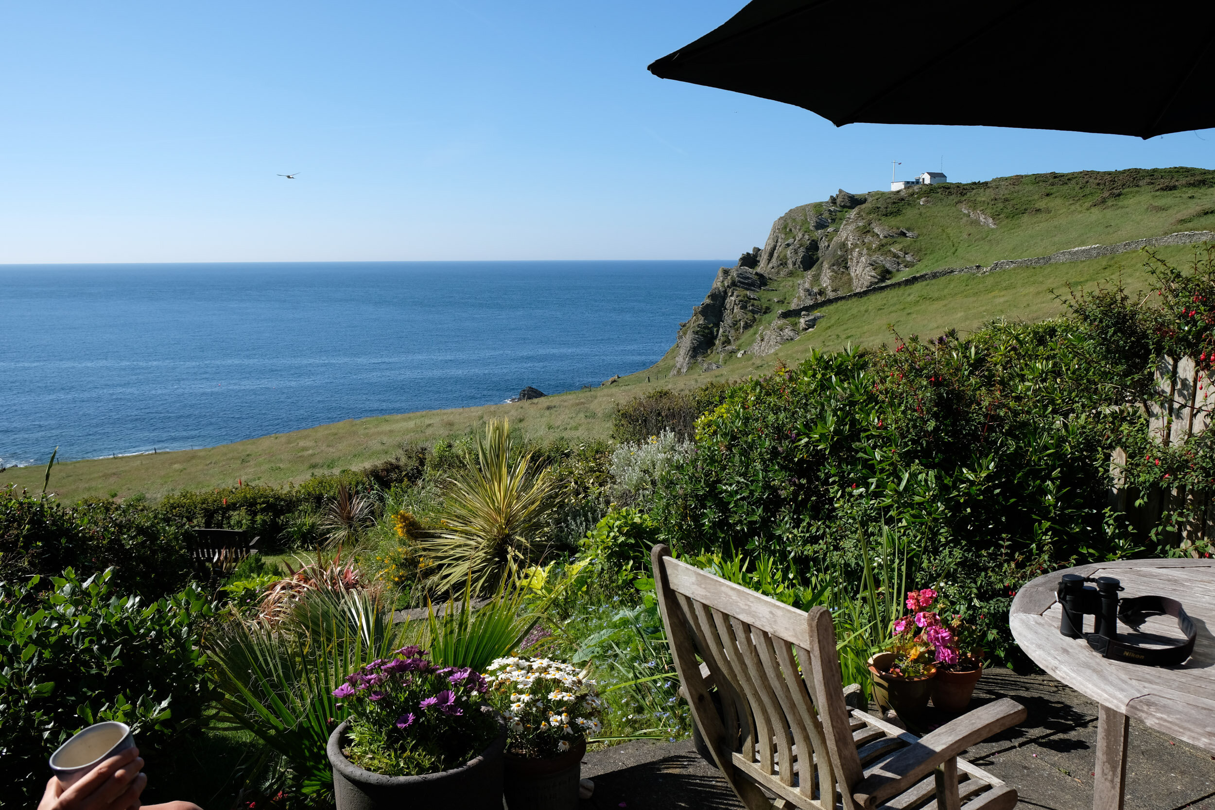 Scenic coastal view with ocean, cliff, and garden with flowers and patio furniture.