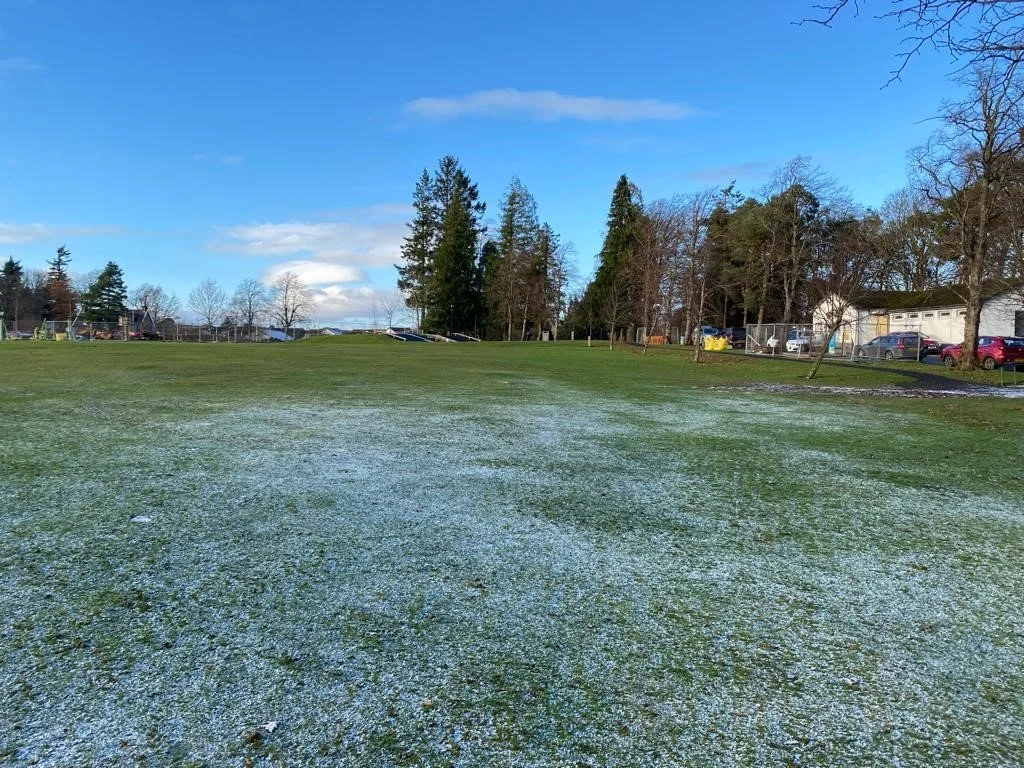 Park Progress - December Update
