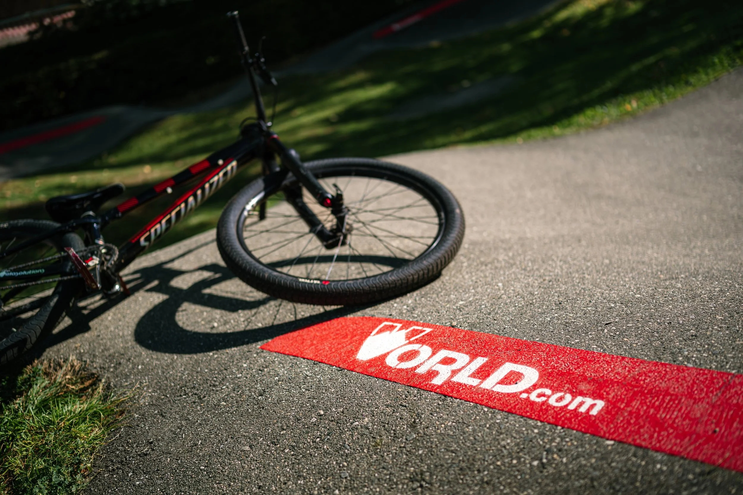 Vorld (3), April 2026.jpg