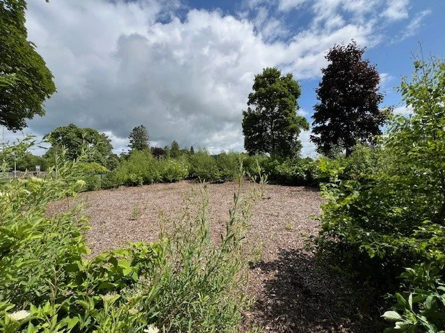 Pocket Forest Maintenance - Your Help Needed