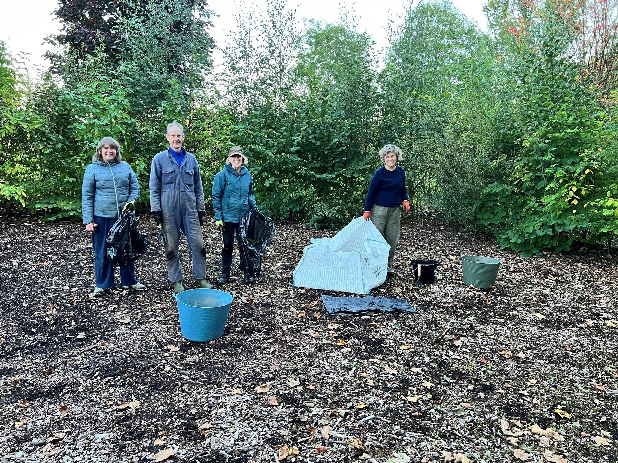 Pocket Forest Maintenance 