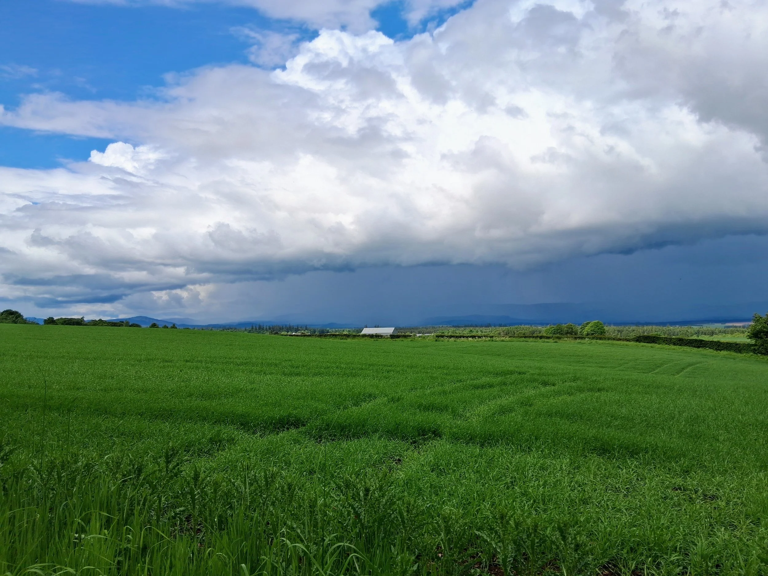 8.8.jpg