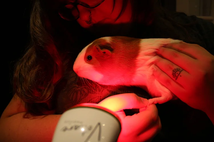 Nancy Photizo (6).JPG