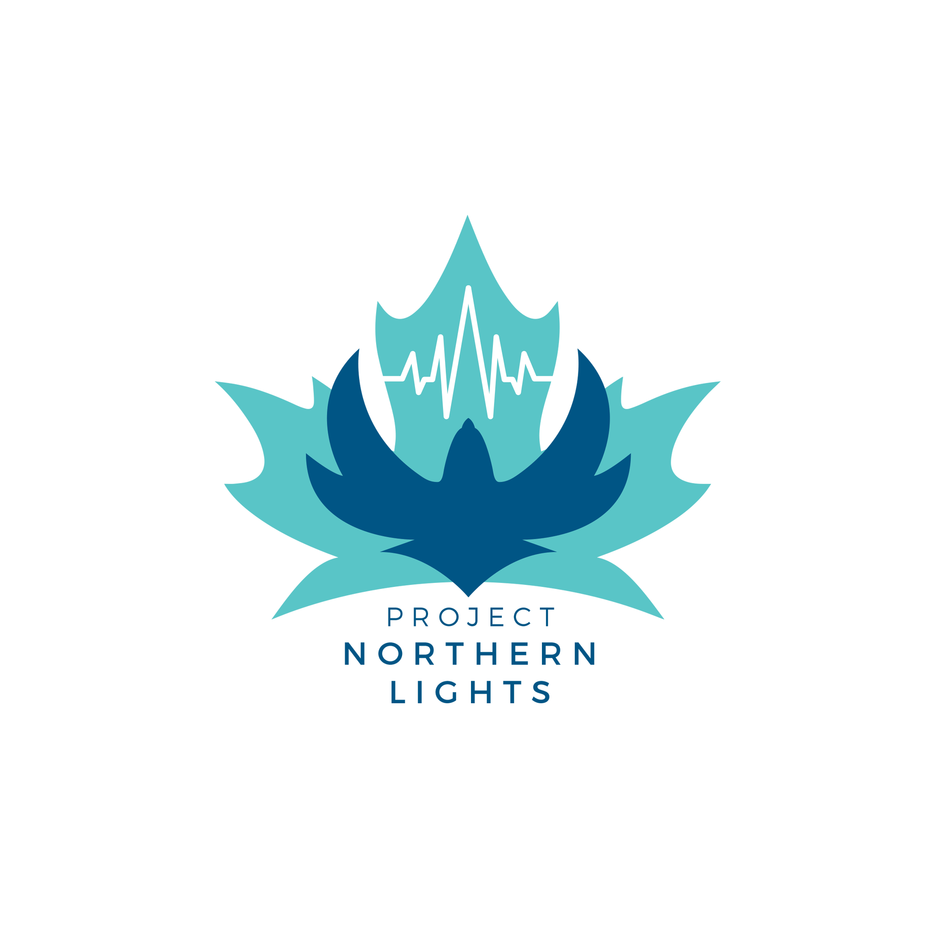 About — Project Northern Lights