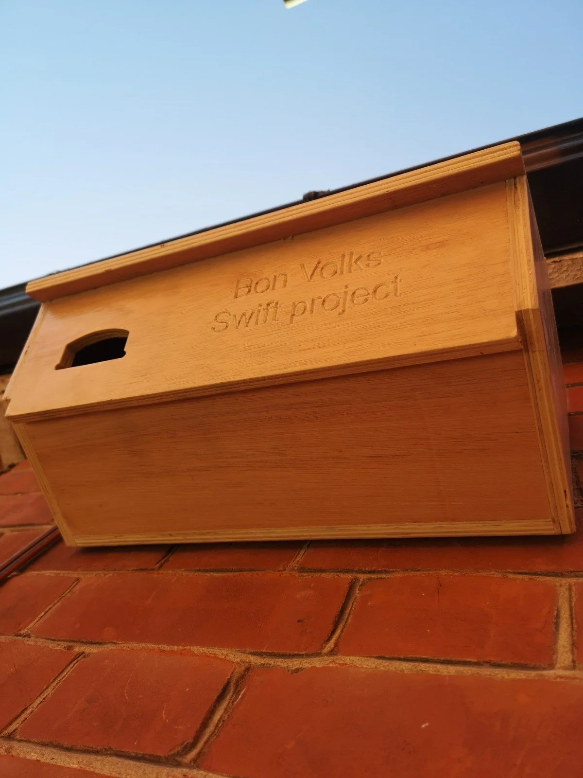 WhatsApp Image 2026-03-16 at 16.53.29.jpeg