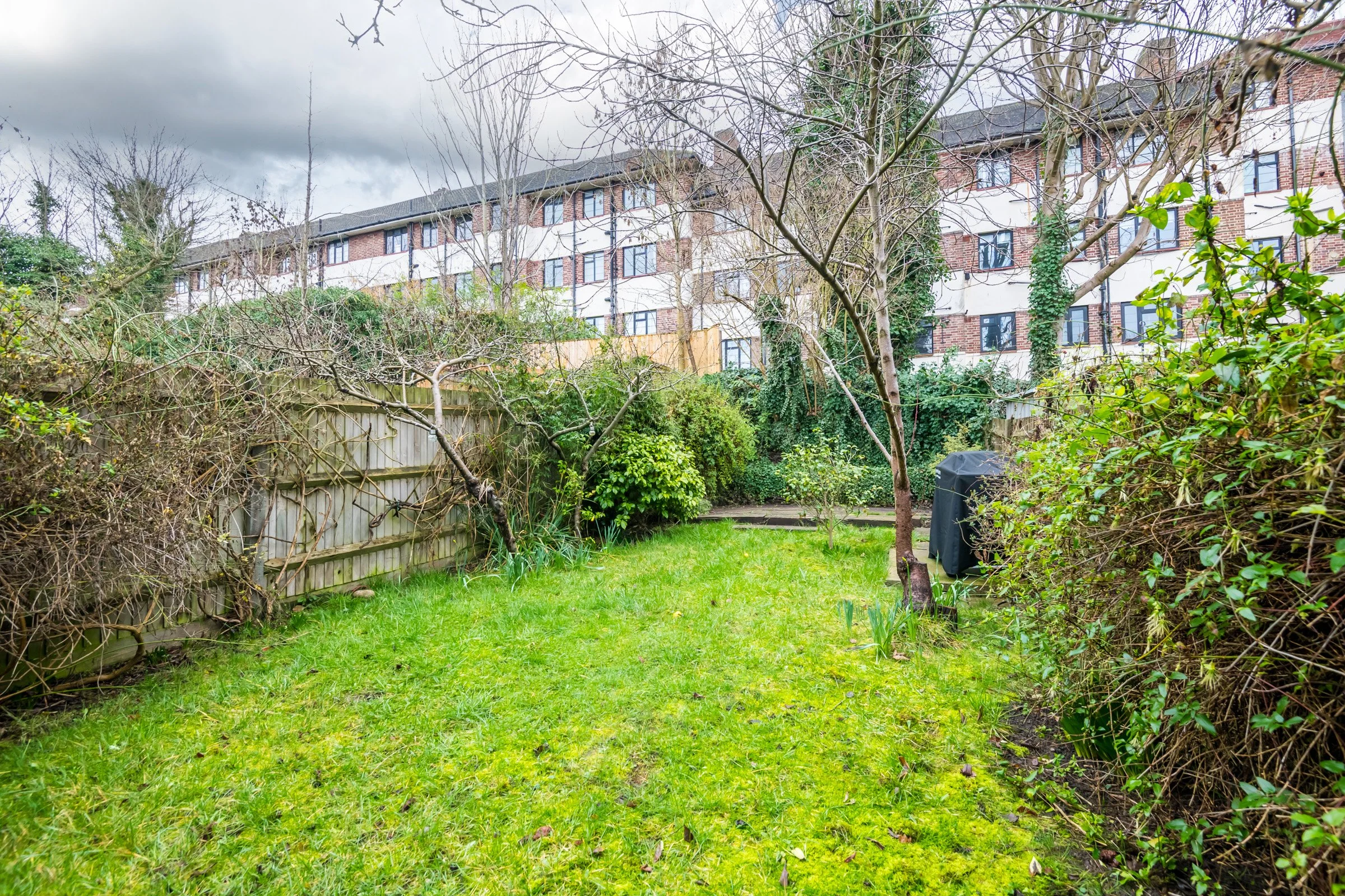 6 Knollys Road-5.jpg