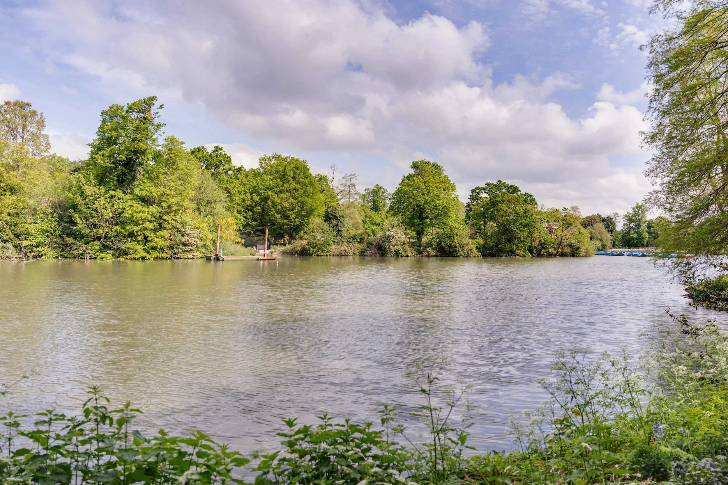 Flat 3, 3 Thicket Road, SE20 - 1.jpg