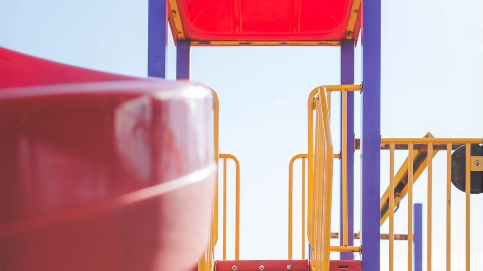 Is Your Career a Ladder or a Jungle Gym?
