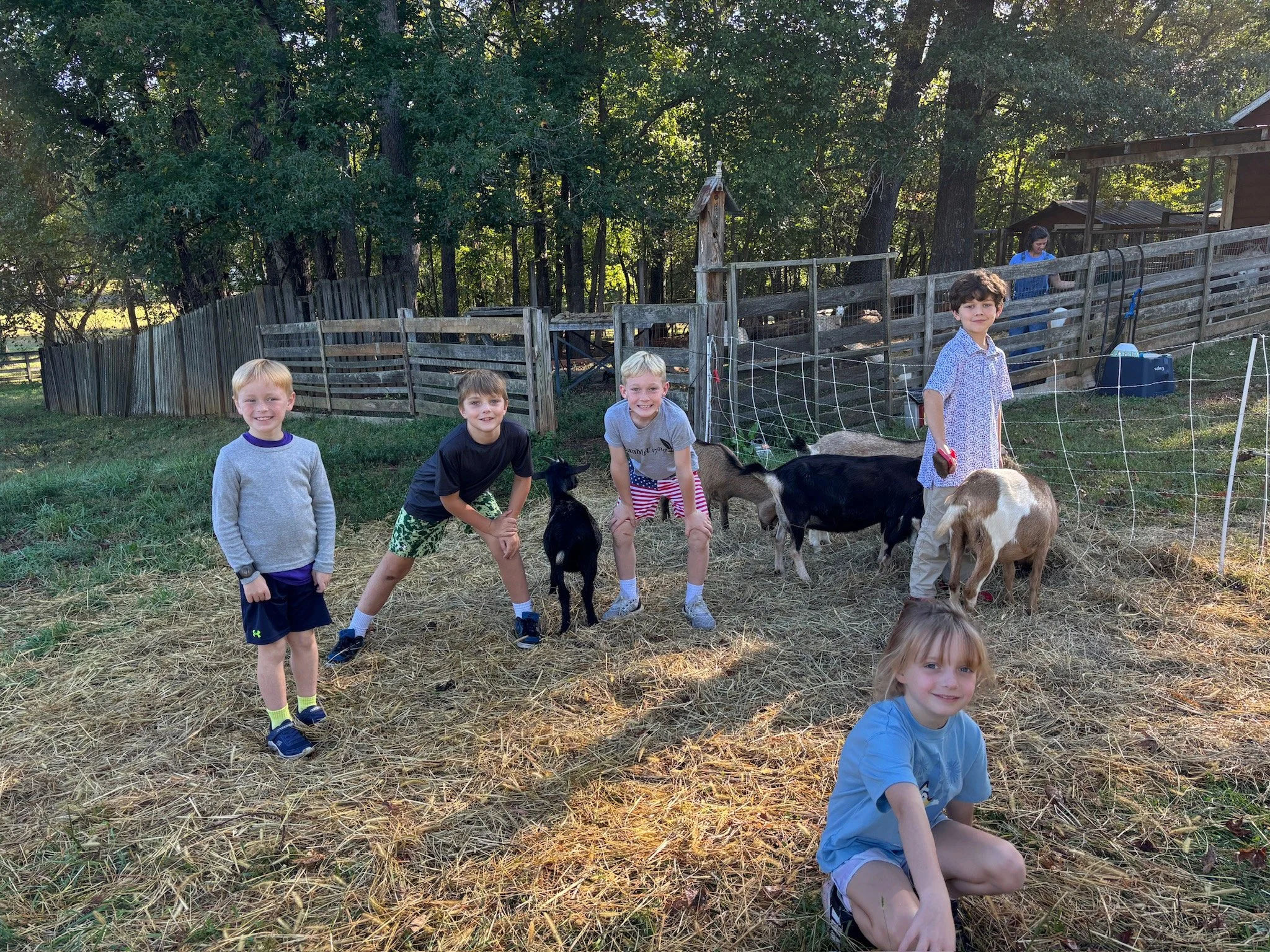 ATE Shipshape Farm Field Trip🐐🐓🐰 - 10 of 49.jpeg