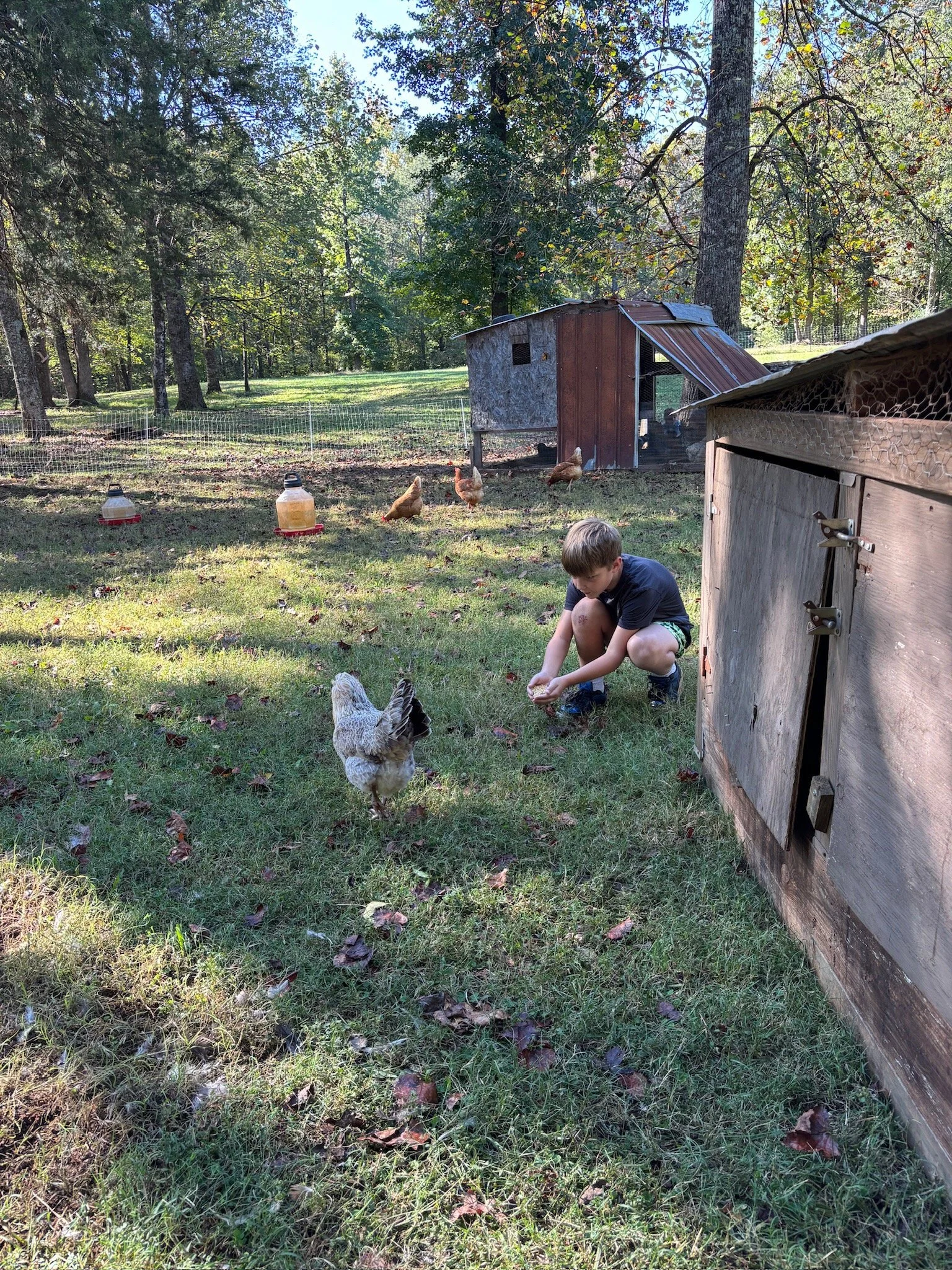 ATE Shipshape Farm Field Trip🐐🐓🐰 - 32 of 49.jpeg
