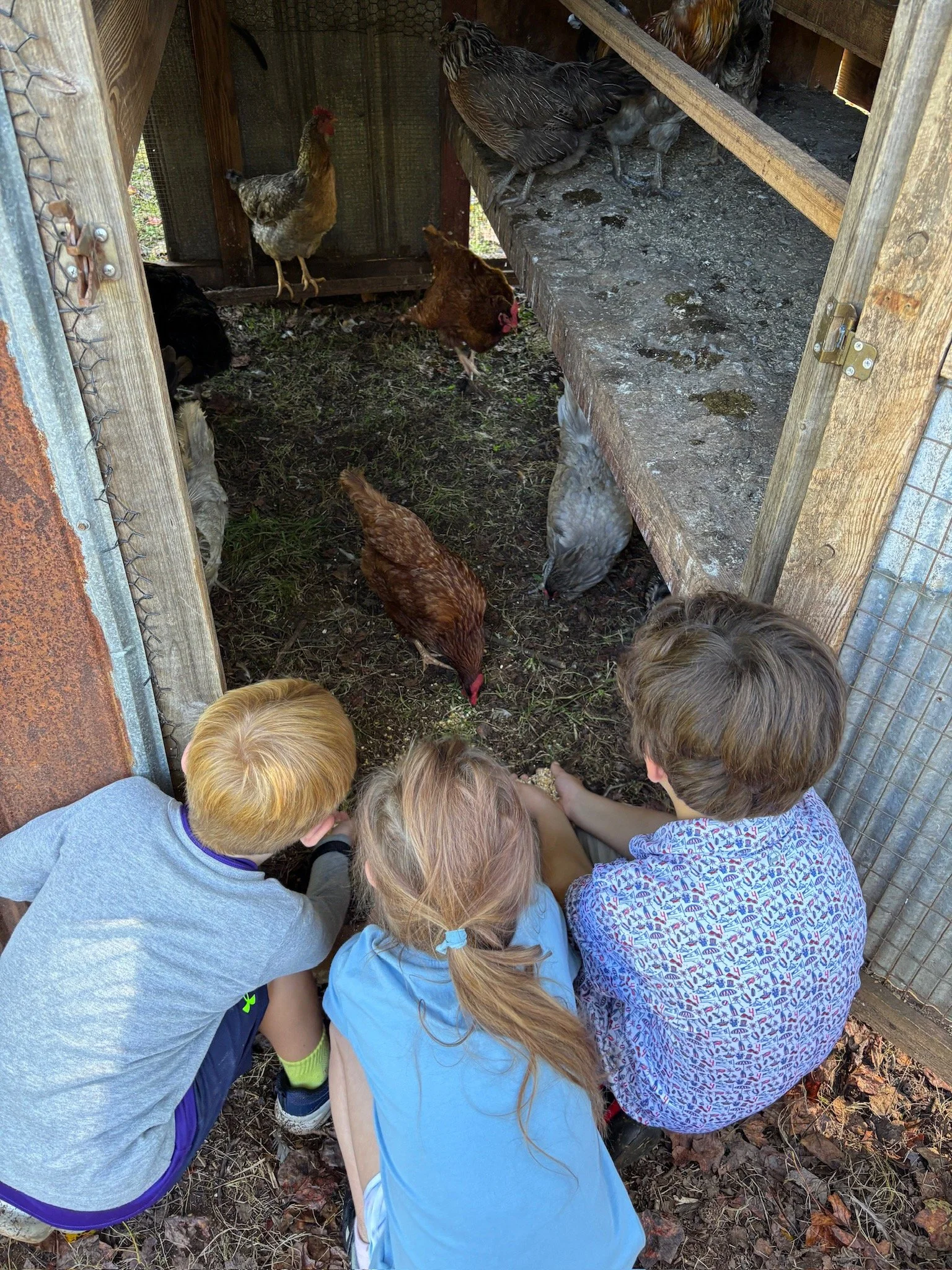 ATE Shipshape Farm Field Trip🐐🐓🐰 - 36 of 49.jpeg