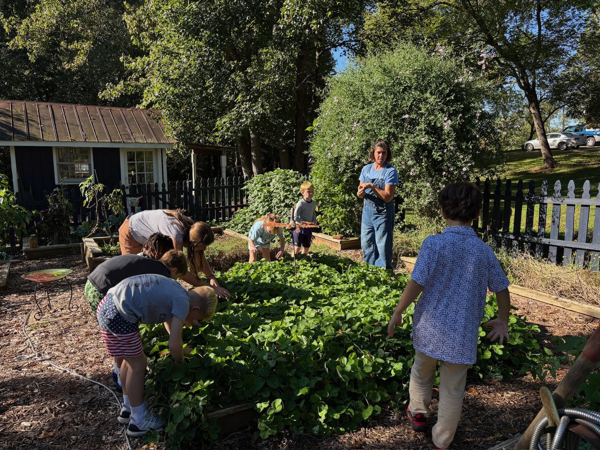 ATE Shipshape Farm Field Trip🐐🐓🐰 - 21 of 49.jpeg