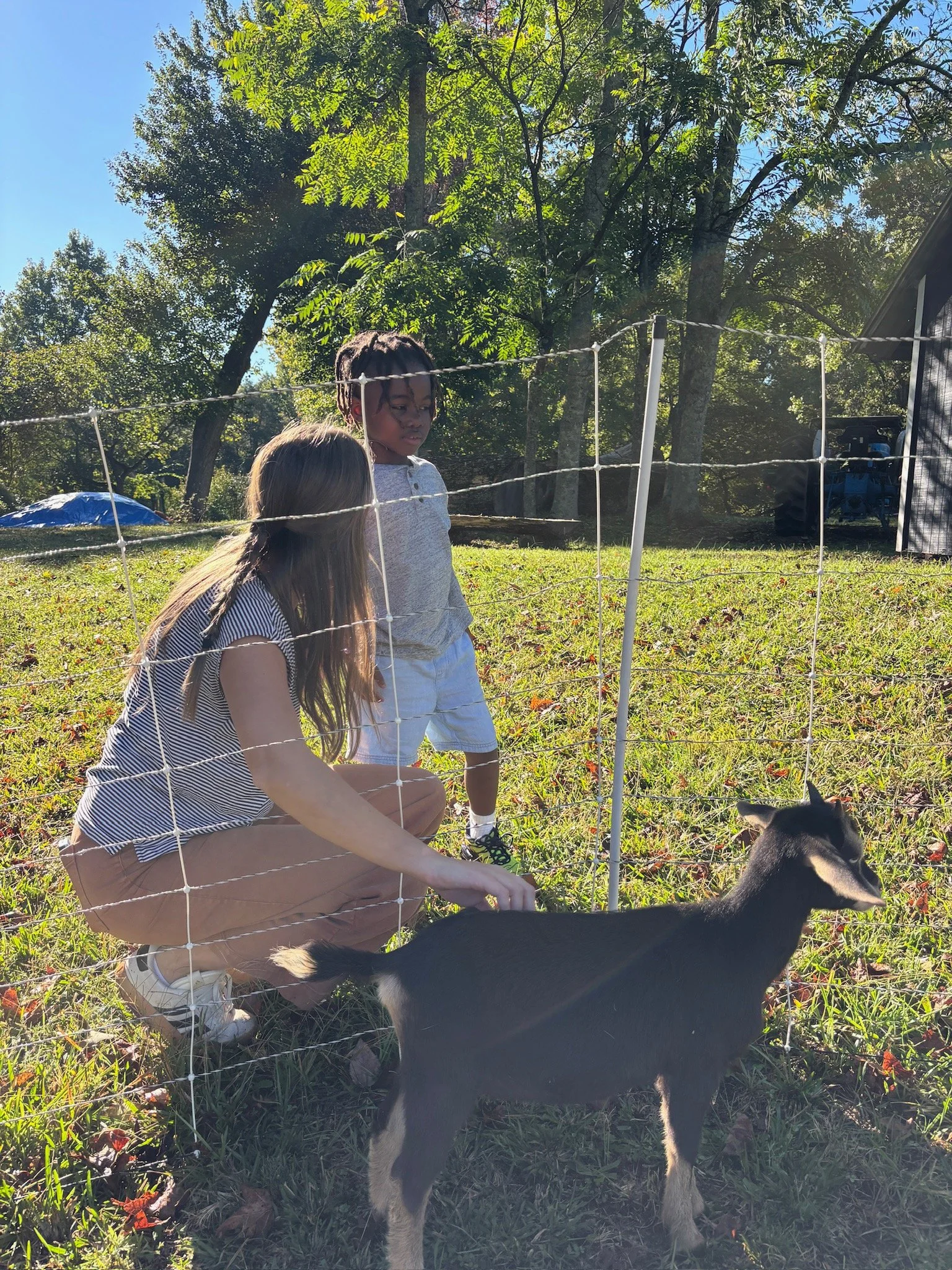 ATE Shipshape Farm Field Trip🐐🐓🐰 - 11 of 49.jpeg
