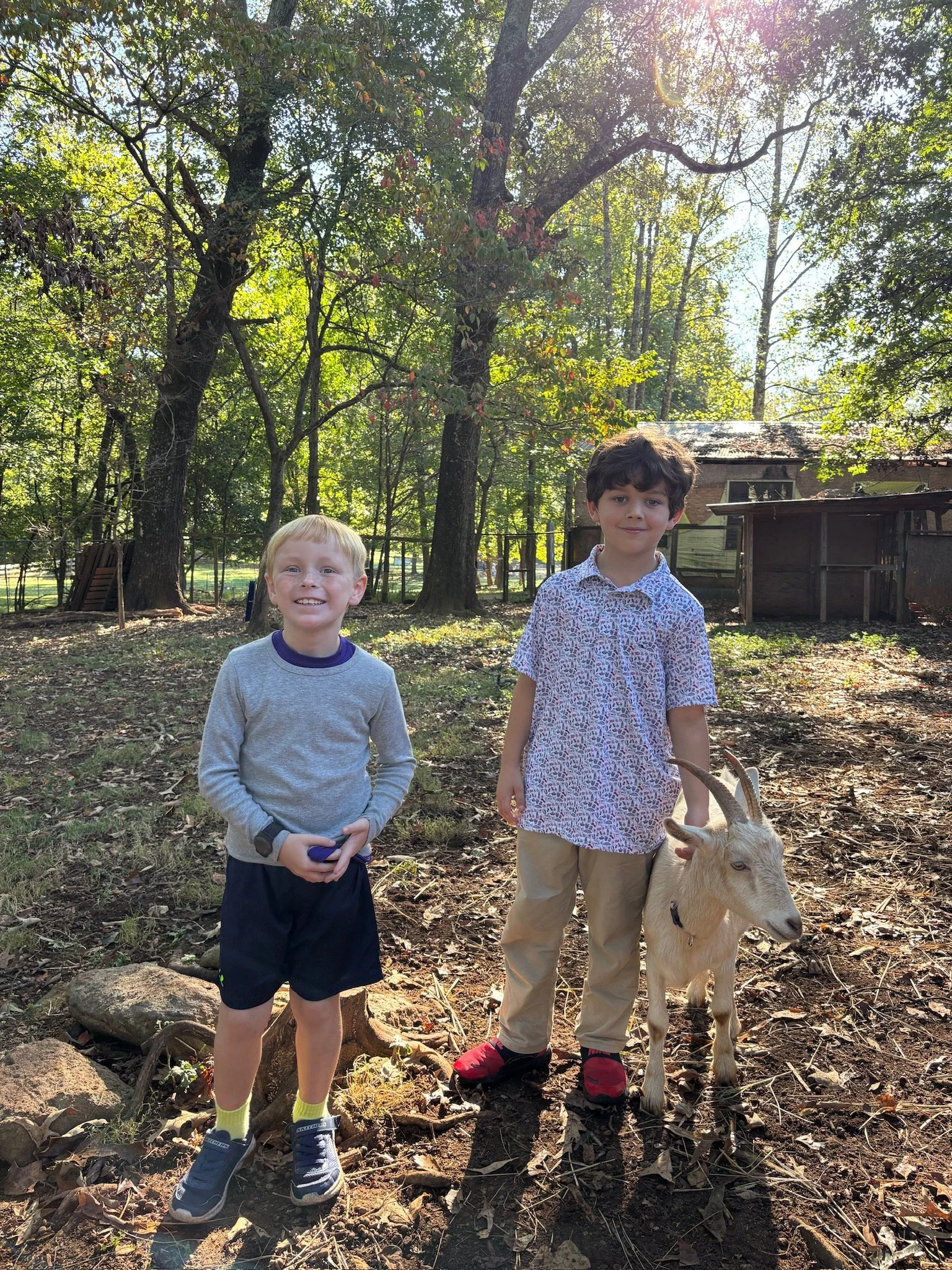 ATE Shipshape Farm Field Trip🐐🐓🐰 - 7 of 49.jpeg