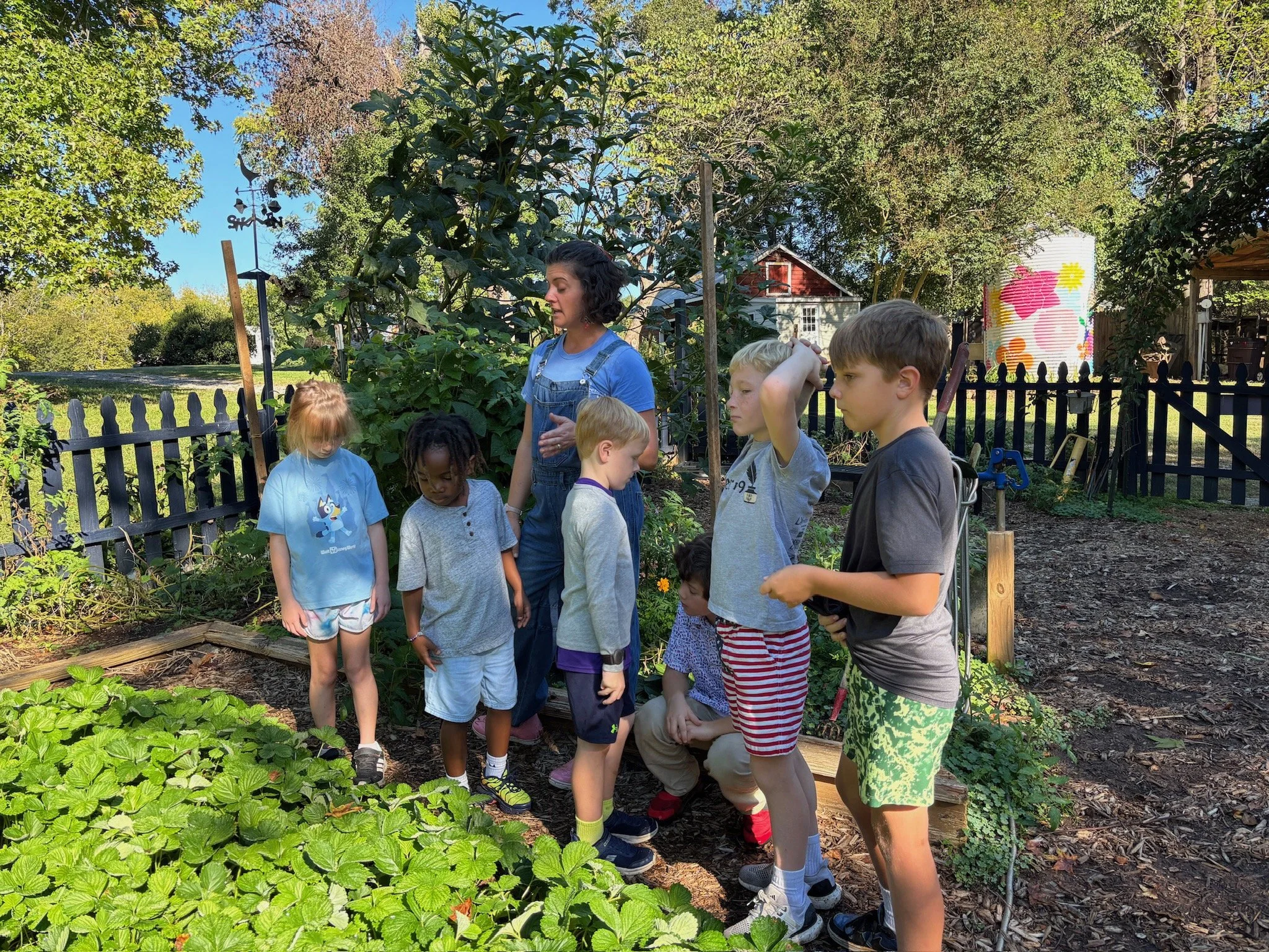 ATE Shipshape Farm Field Trip🐐🐓🐰 - 20 of 49.jpeg