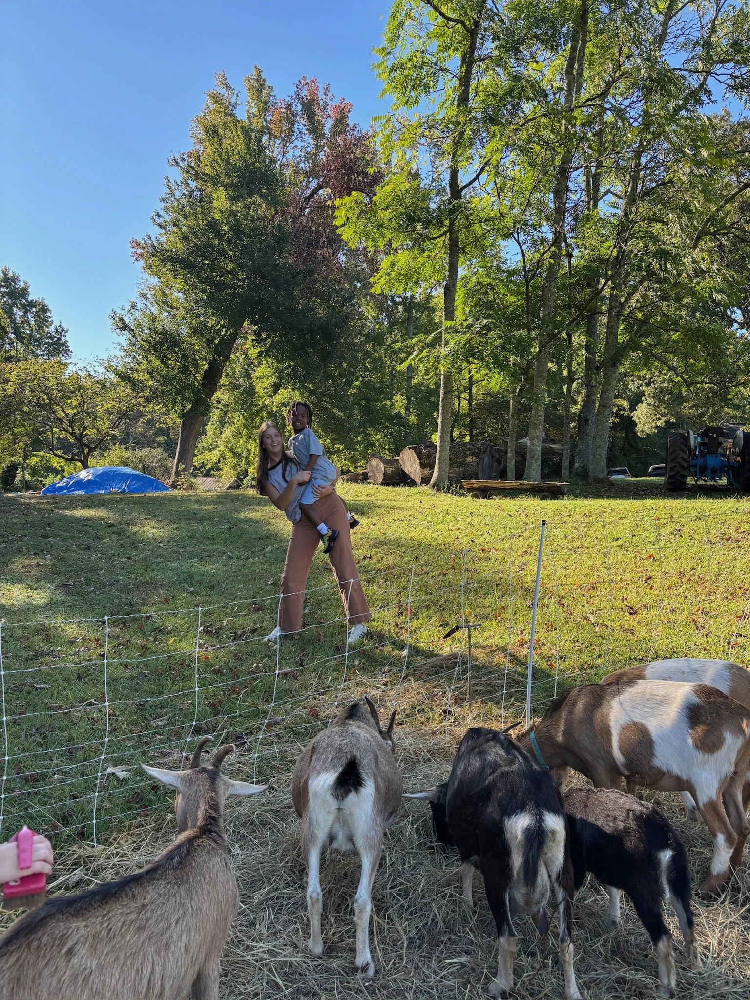ATE Shipshape Farm Field Trip🐐🐓🐰 - 13 of 49.jpeg