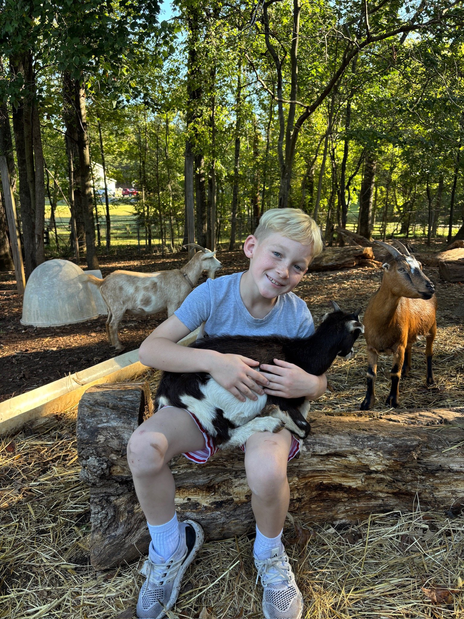 ATE Shipshape Farm Field Trip🐐🐓🐰 - 9 of 49.jpeg