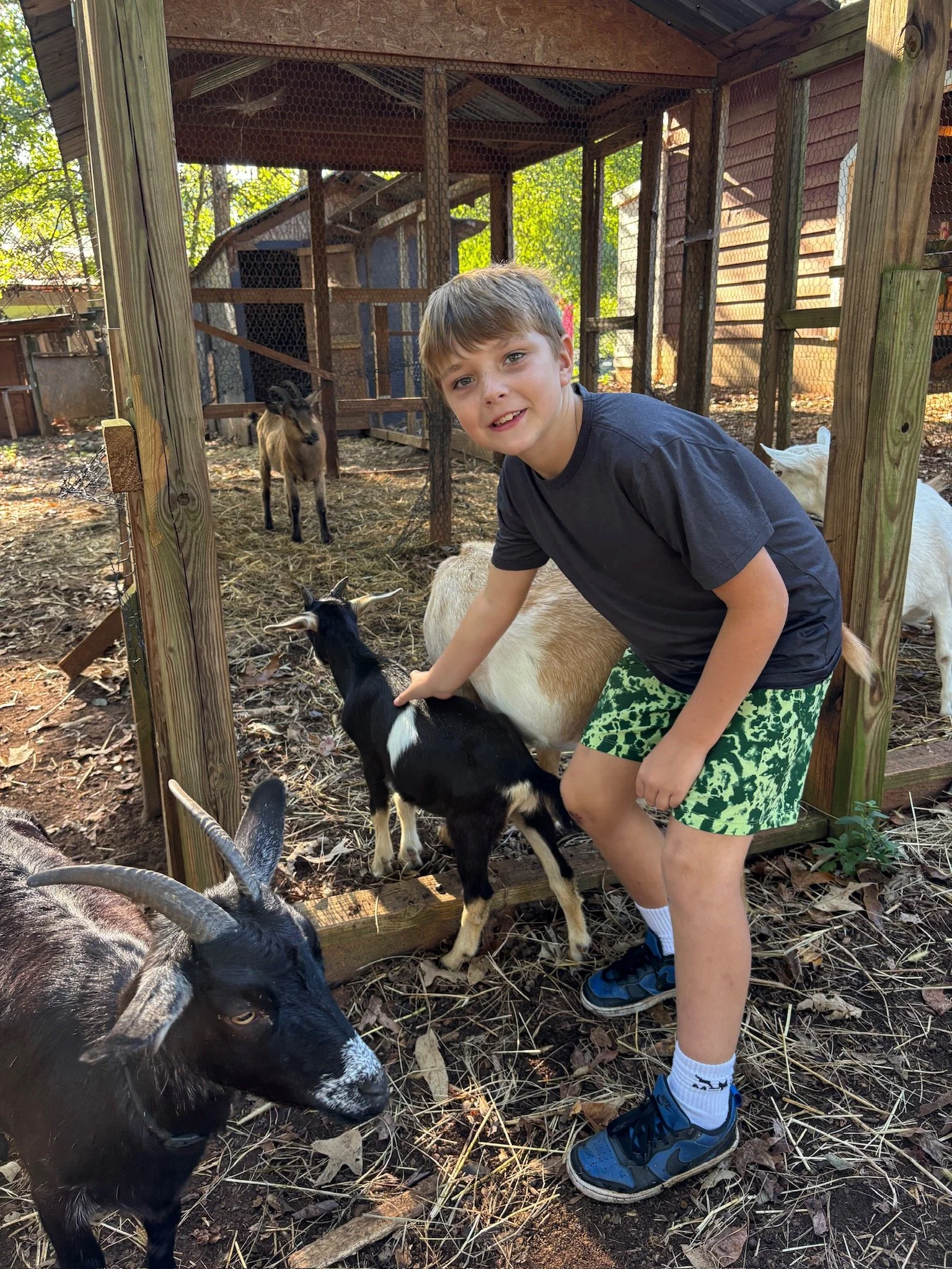 ATE Shipshape Farm Field Trip🐐🐓🐰 - 8 of 49.jpeg