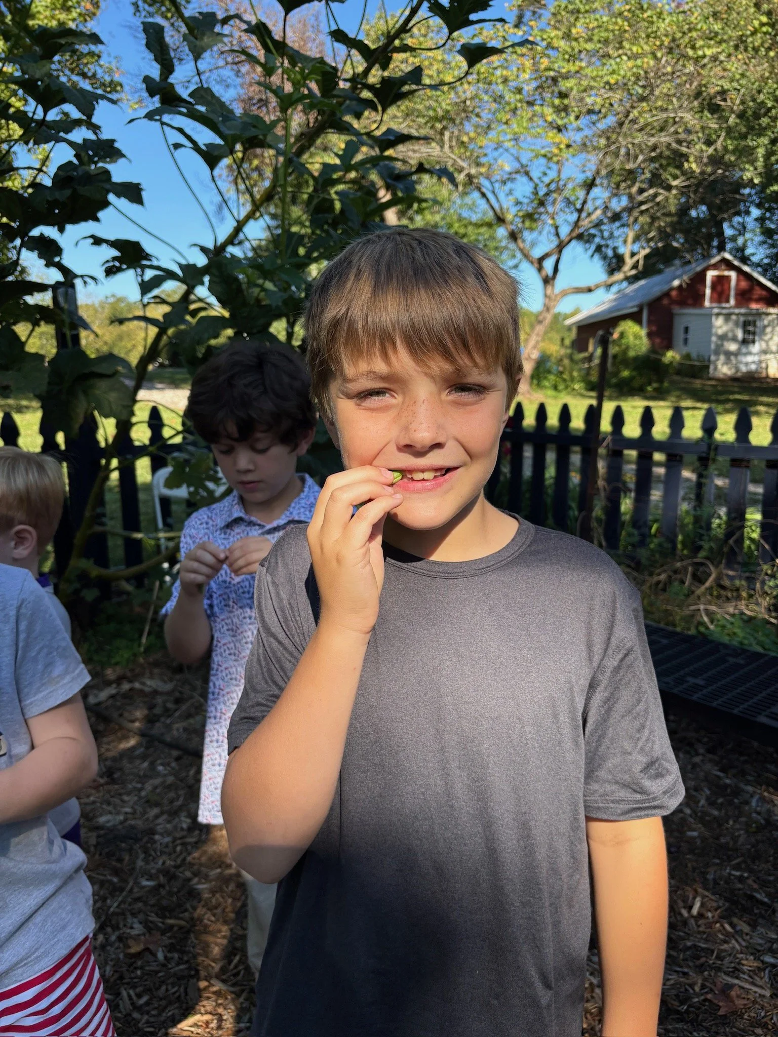 ATE Shipshape Farm Field Trip🐐🐓🐰 - 27 of 49.jpeg