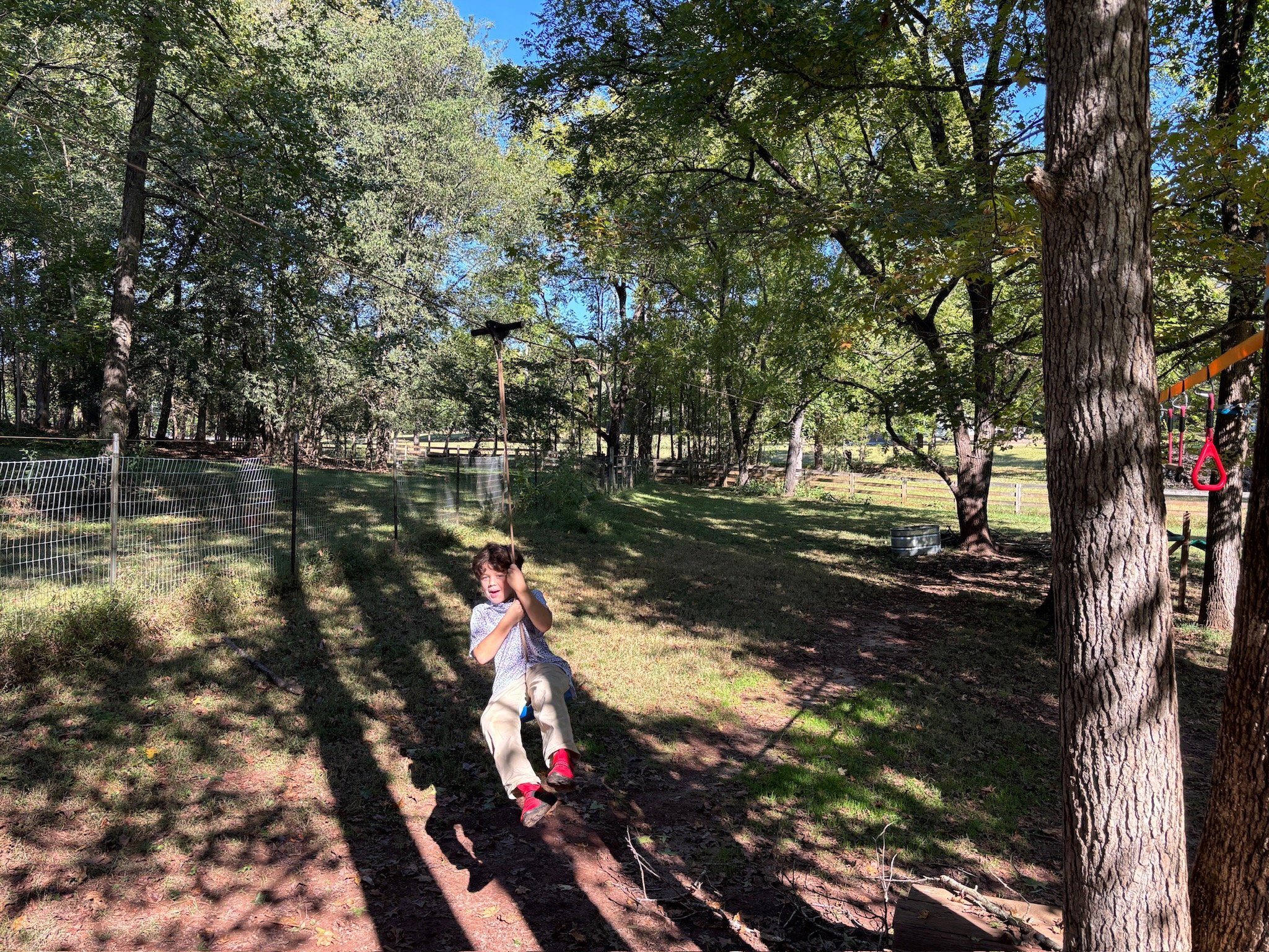 ATE Shipshape Farm Field Trip🐐🐓🐰 - 39 of 49.jpeg
