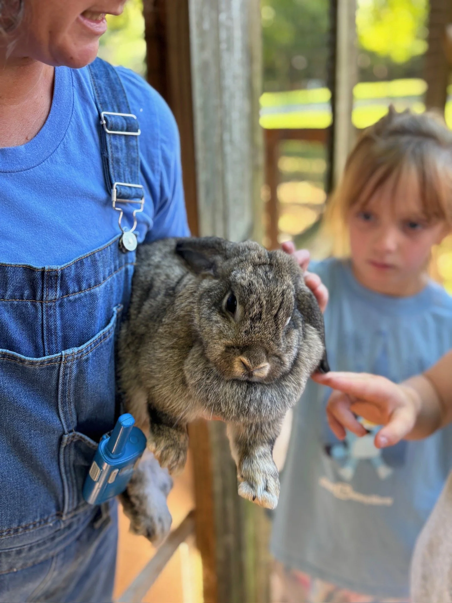ATE Shipshape Farm Field Trip🐐🐓🐰 - 4 of 49.jpeg