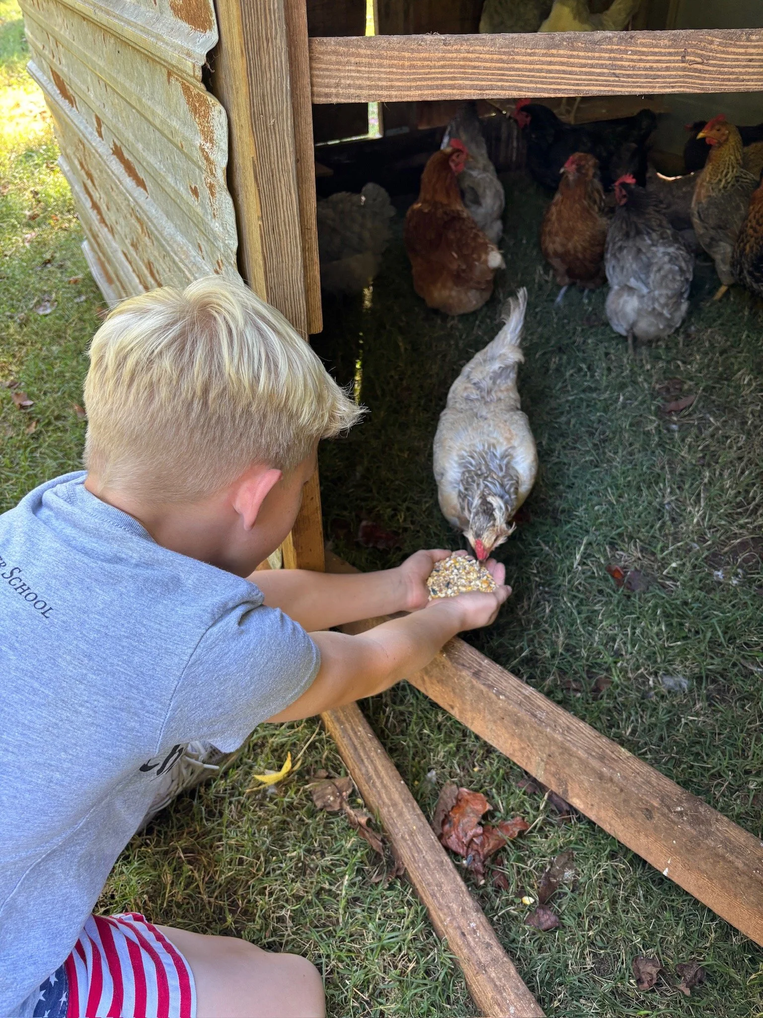 ATE Shipshape Farm Field Trip🐐🐓🐰 - 31 of 49.jpeg