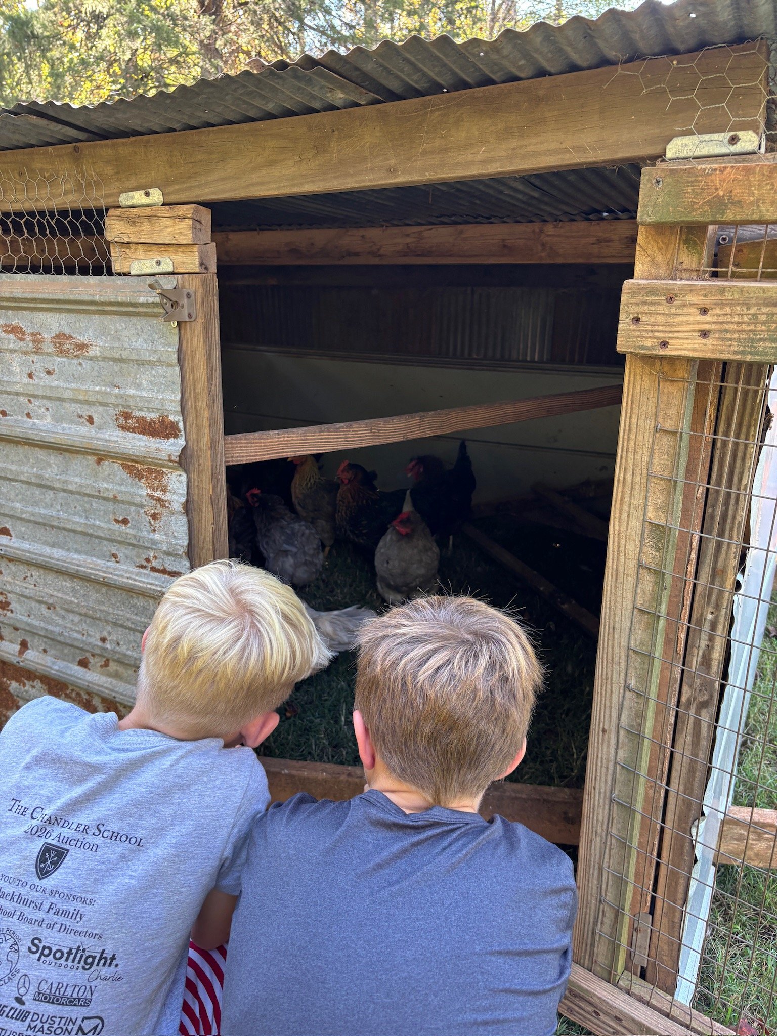 ATE Shipshape Farm Field Trip🐐🐓🐰 - 30 of 49.jpeg
