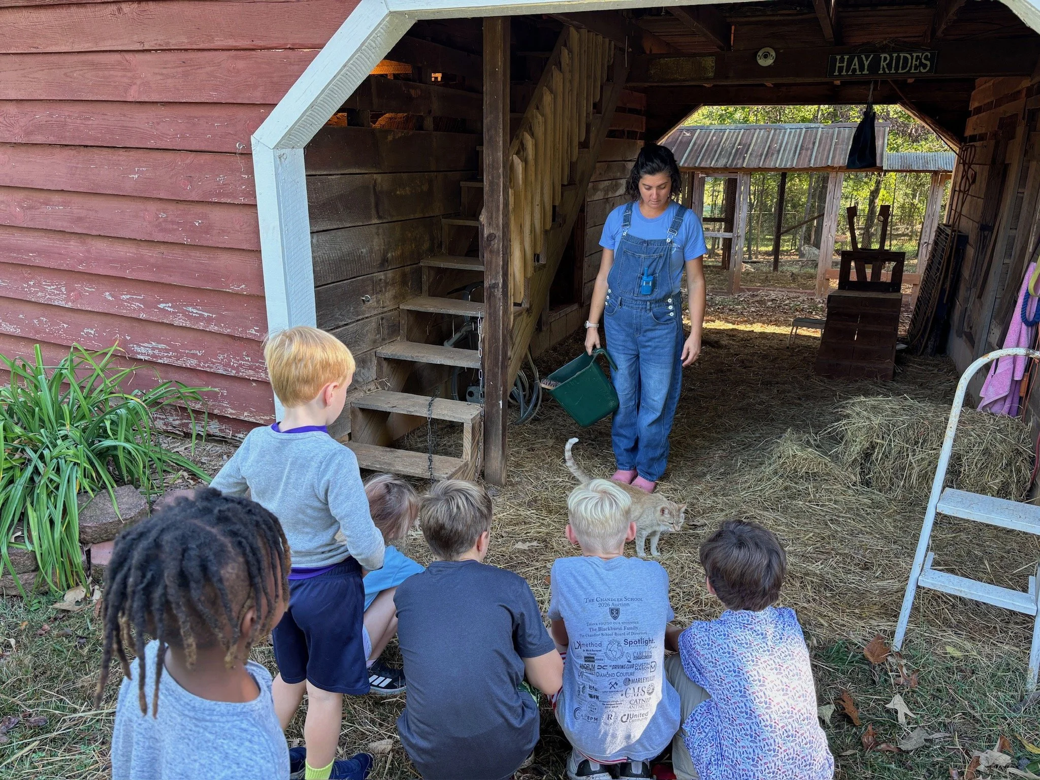 ATE Shipshape Farm Field Trip🐐🐓🐰 - 5 of 49.jpeg
