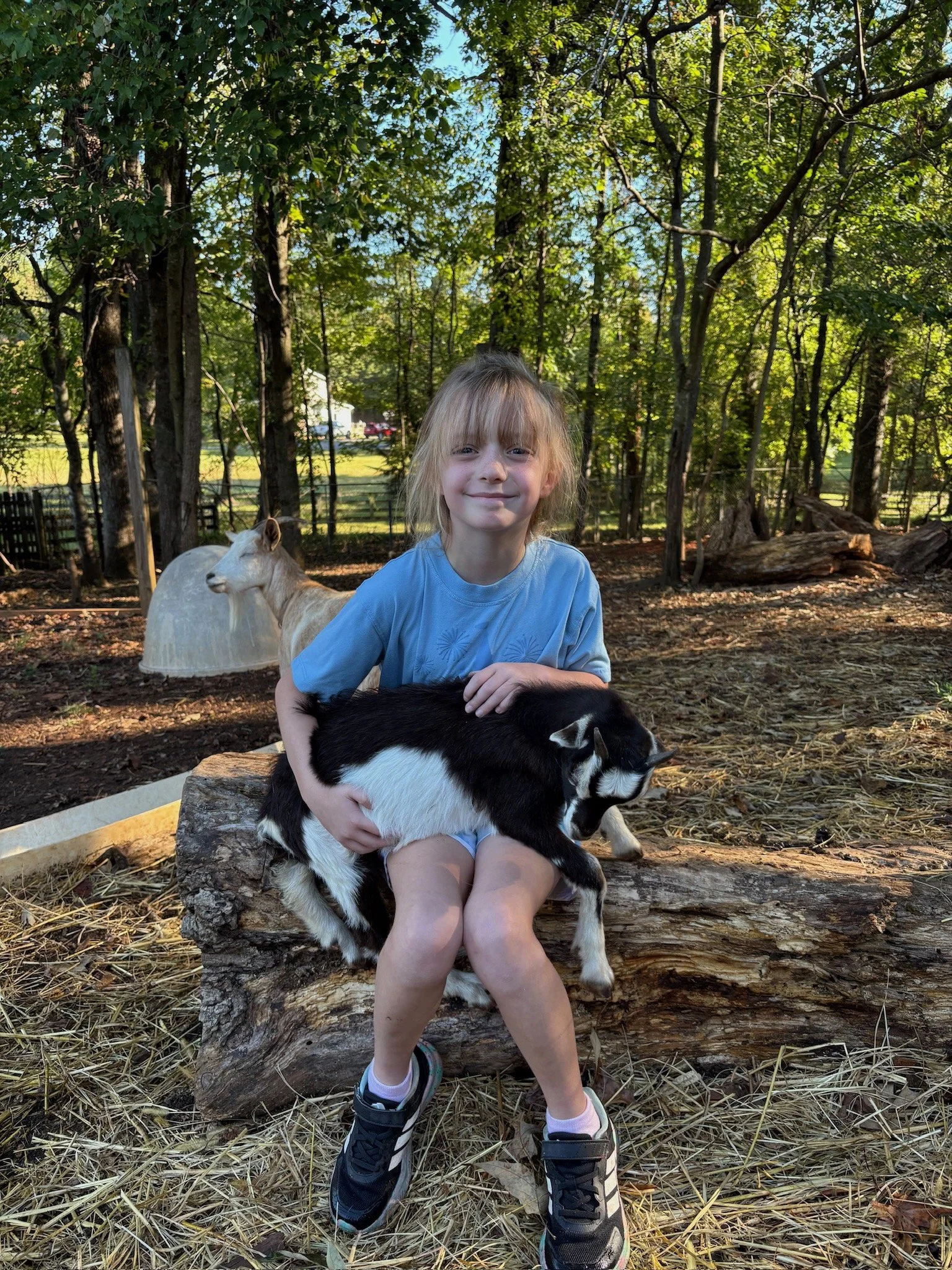 ATE Shipshape Farm Field Trip🐐🐓🐰 - 6 of 49.jpeg