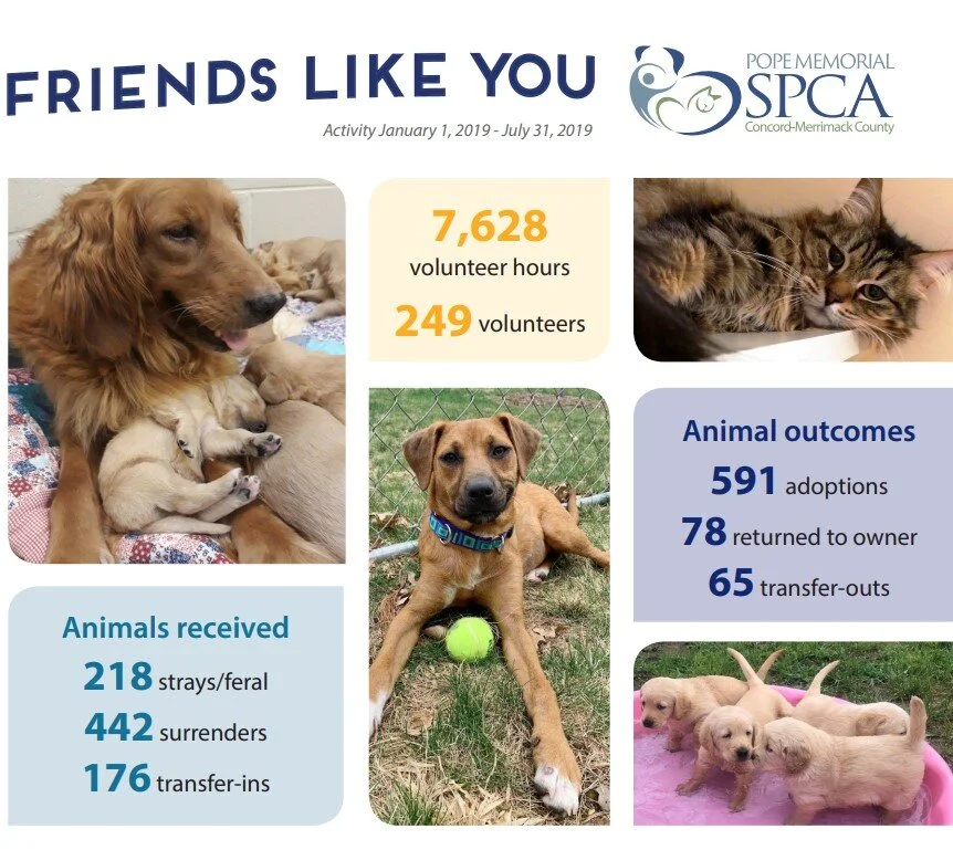 Pope Memorial SPCA of Concord Merrimack County - Infographic