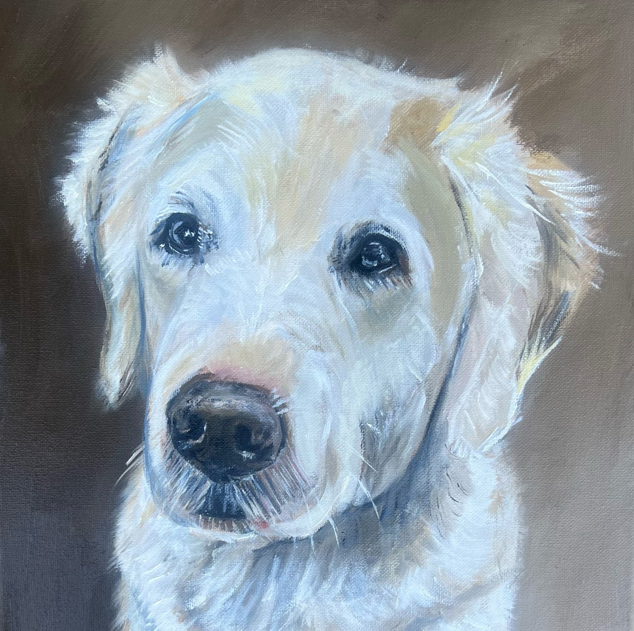 "Gus" Oil on Canvas, 12 x 12 (commissioned piece) 