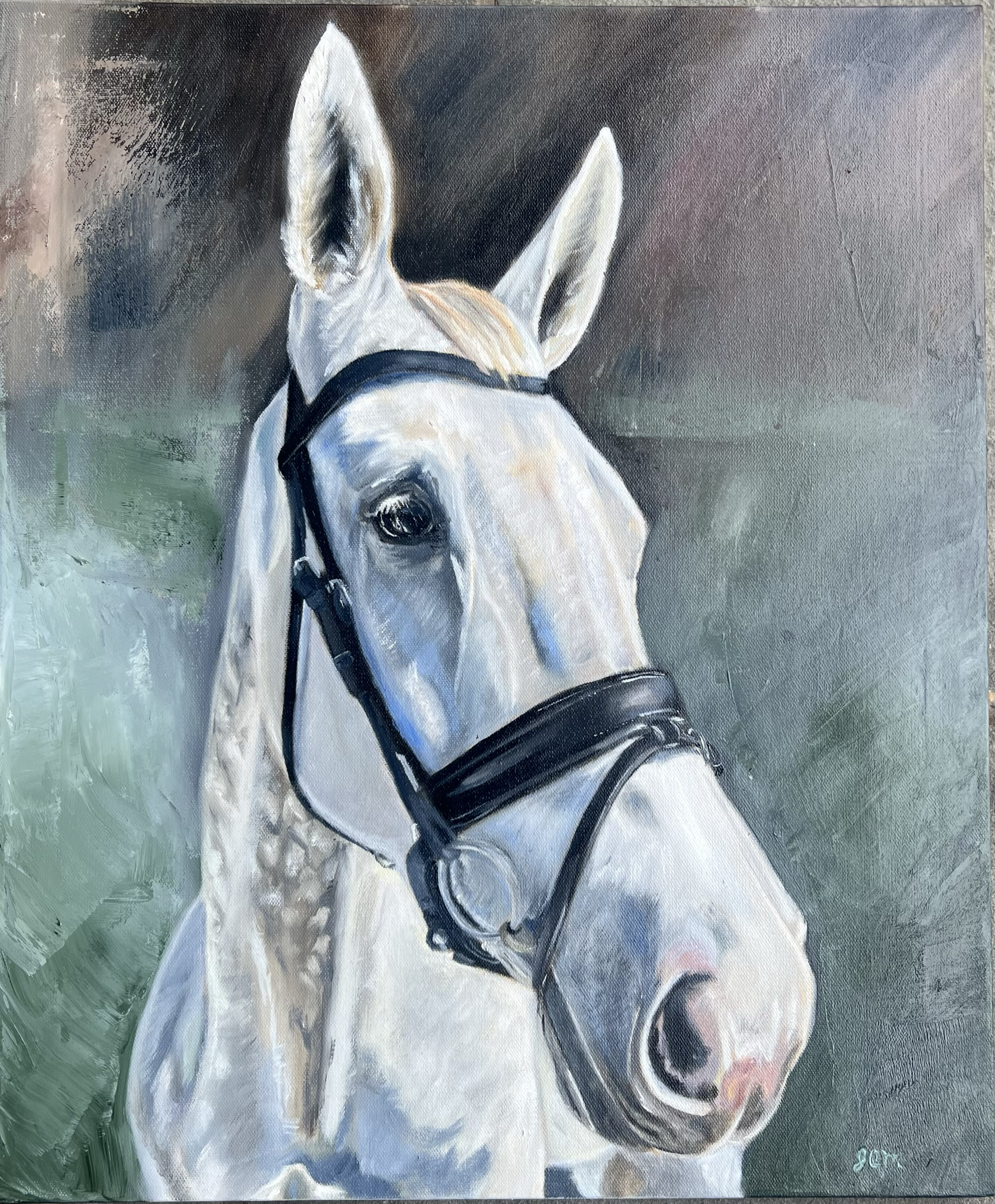 "Troy," Oil on Canvas, 20 x 24, (commissioned piece for a private collector)