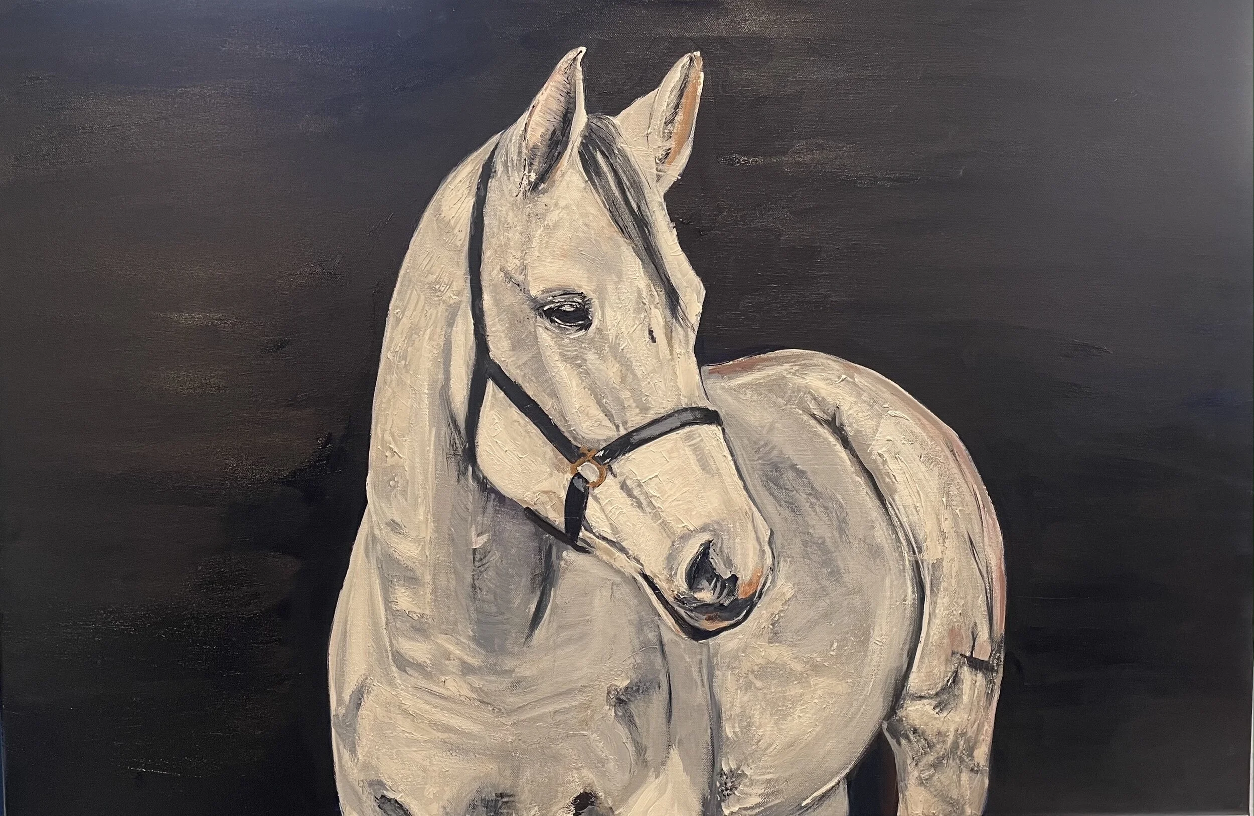 "White Horse," Acrylic on Canvas, 24 x 30 (private collection)
