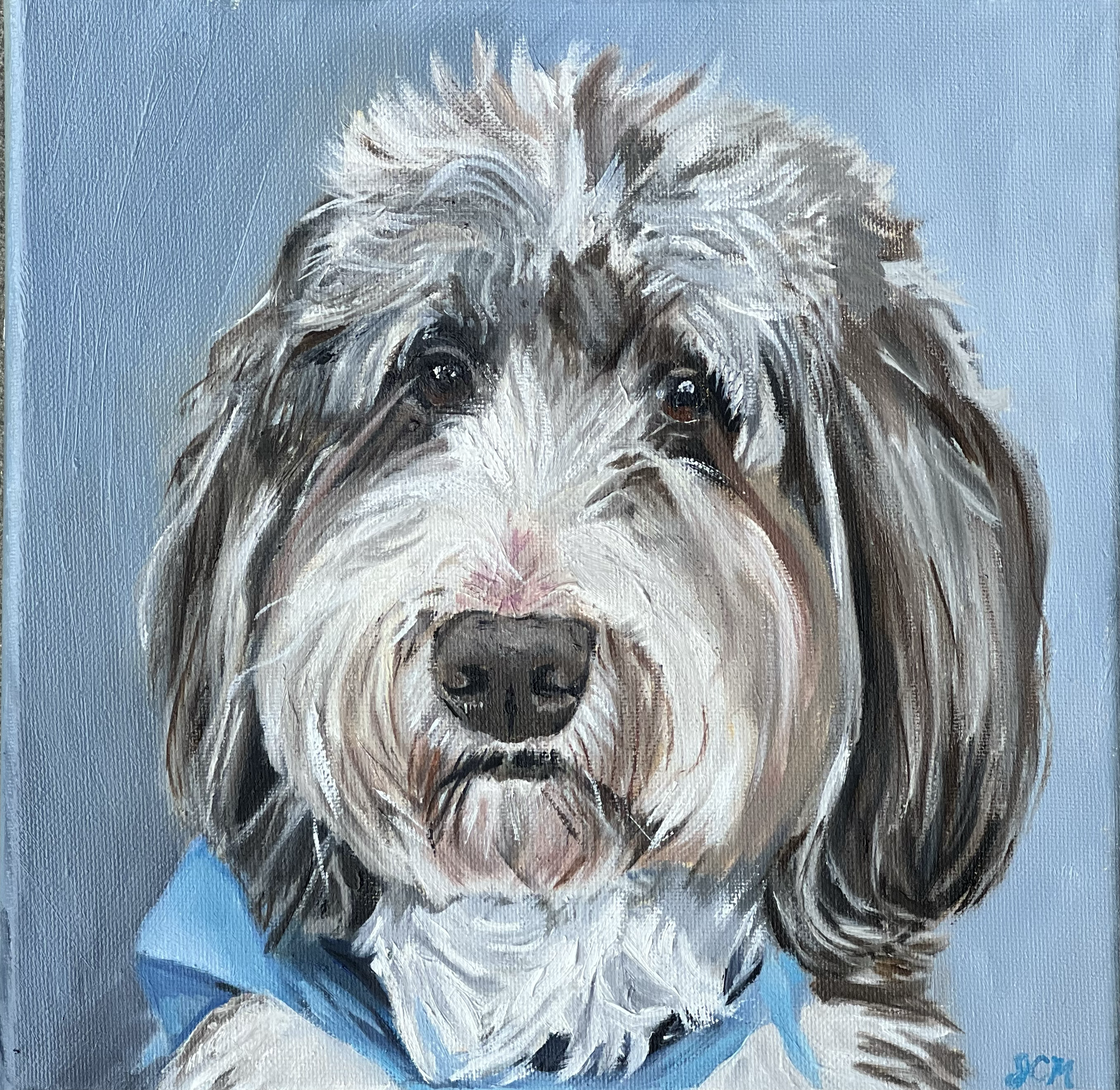 "The Bernedoodle," Oil on Canvas, 8 x 10 (Sold at The Devon Horse Show) 