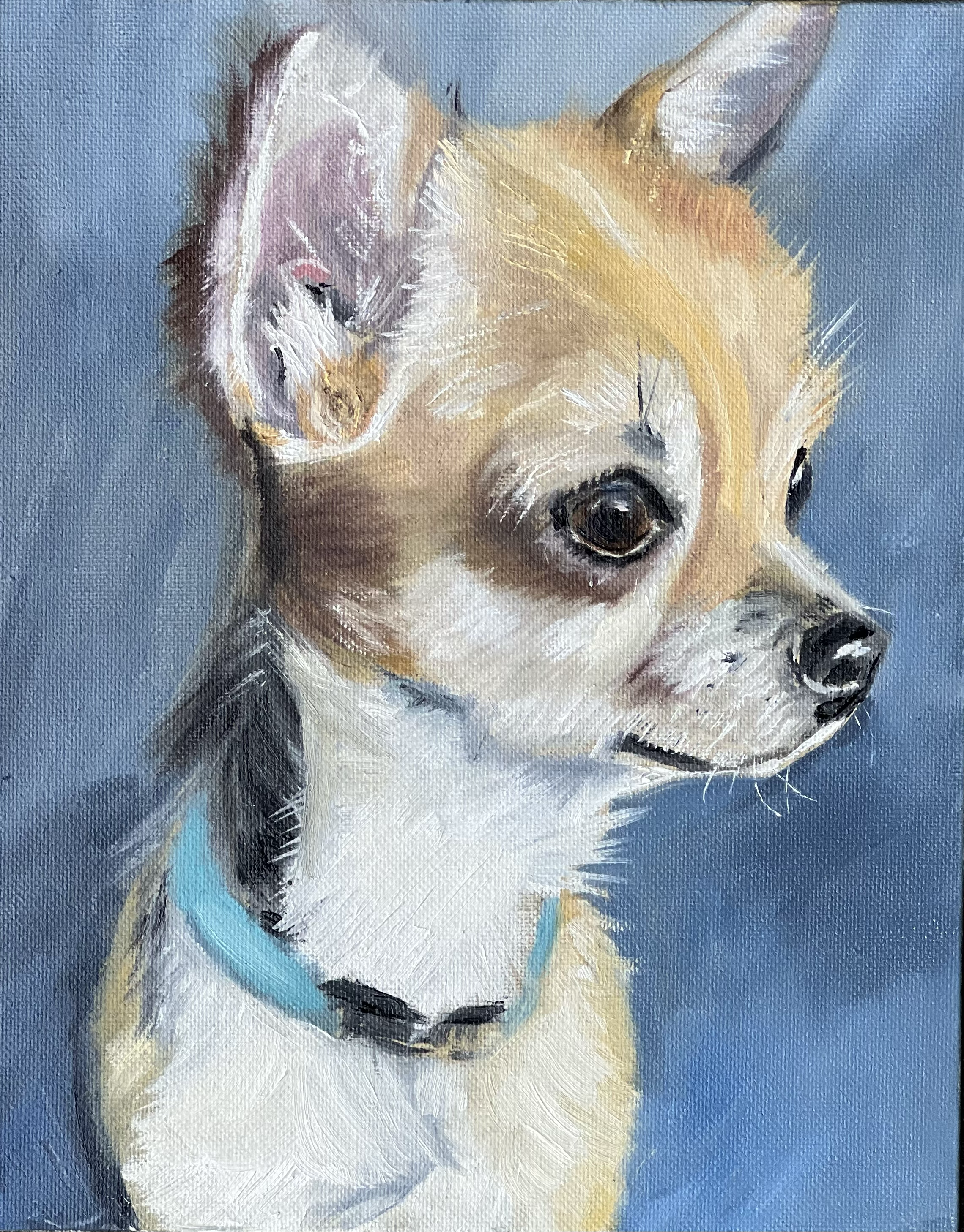 "The Chihuahua," Oil on Canvas, 8 x 10 (Sold at The Devon Horse Show) 
