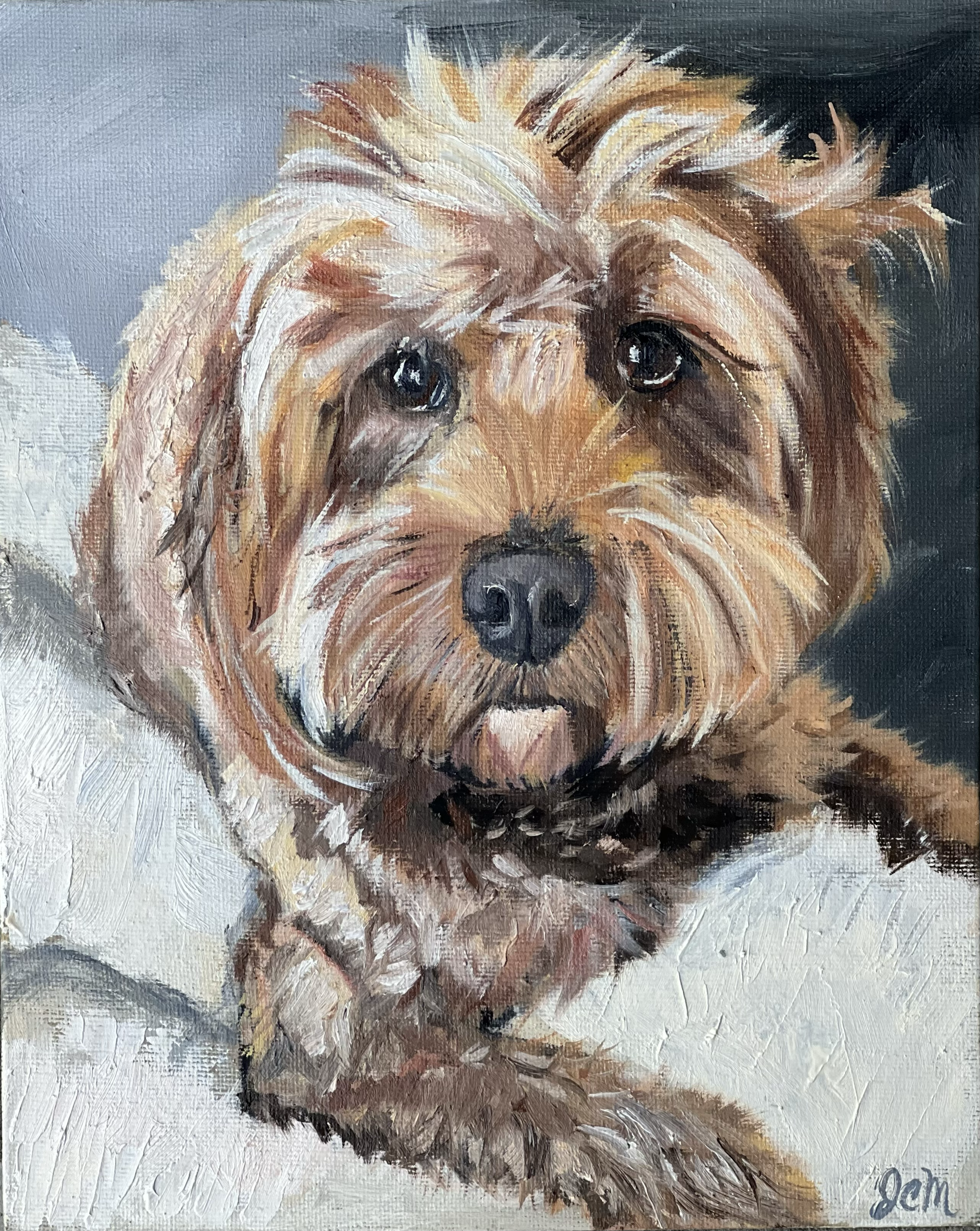 "The Cockapoo," Oil on Canvas, 8 x 10 (Sold at the Devon Horse Show)) 