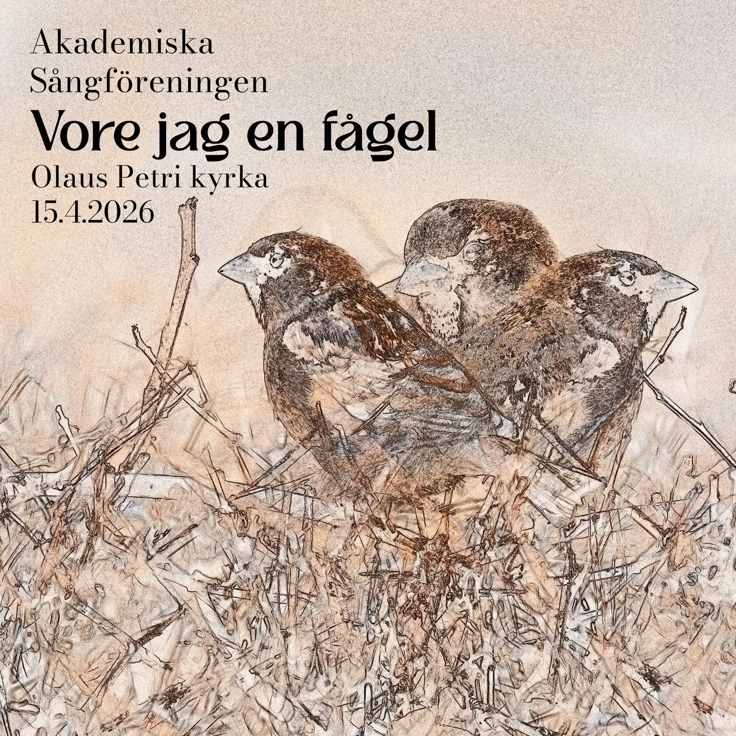 Grattis, Akademen!