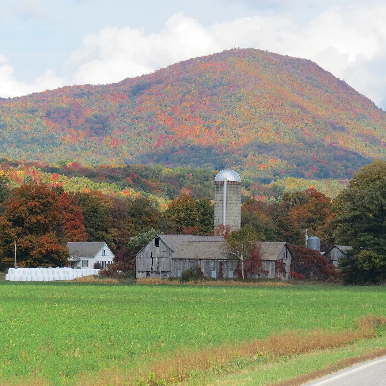 Our Towns McChesney Real Estate