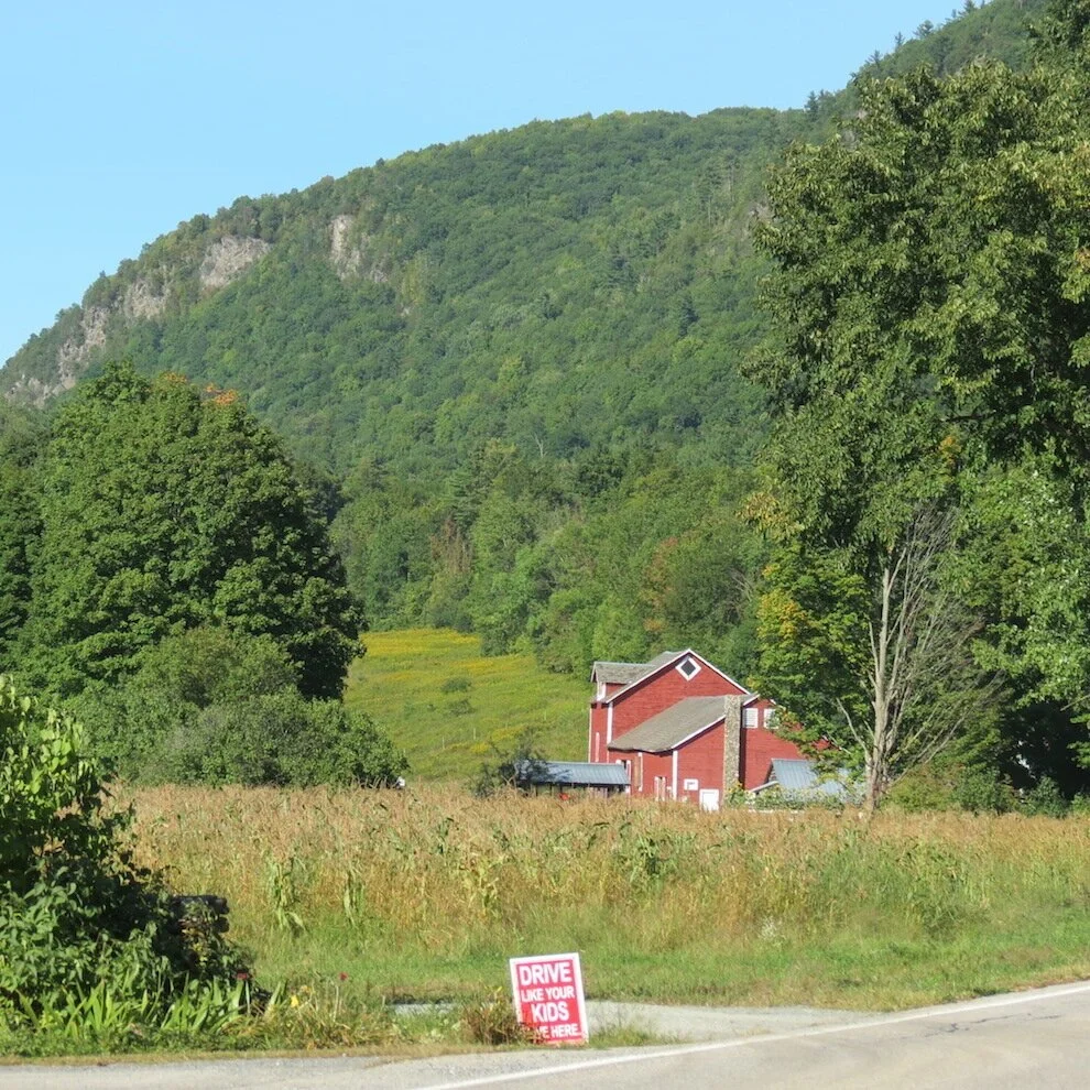 Wells, Vermont McChesney Real Estate