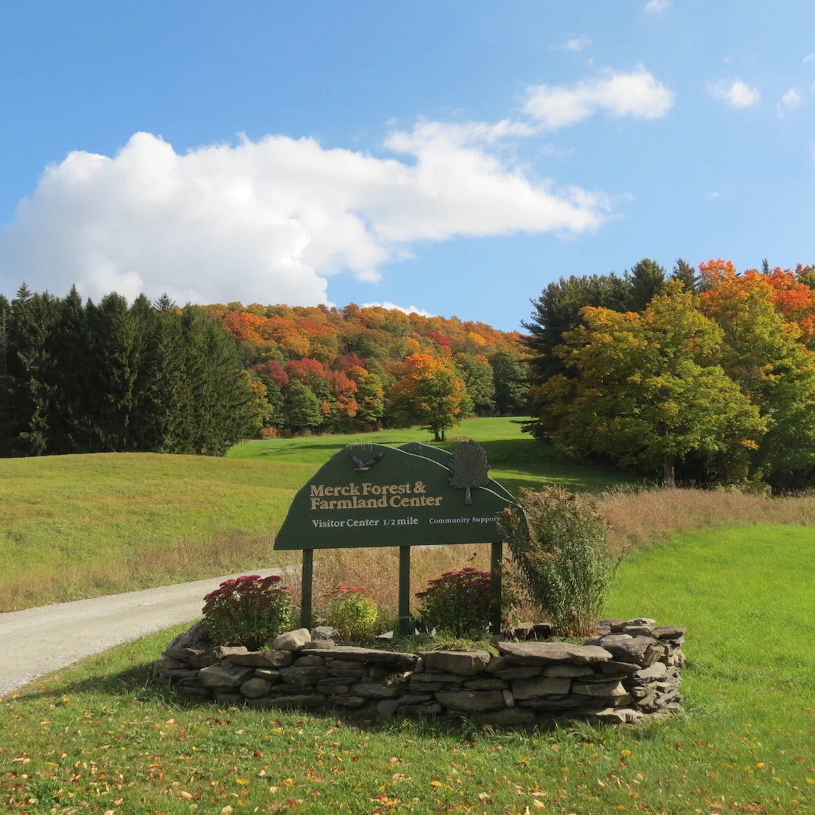 Rupert, Vermont McChesney Real Estate