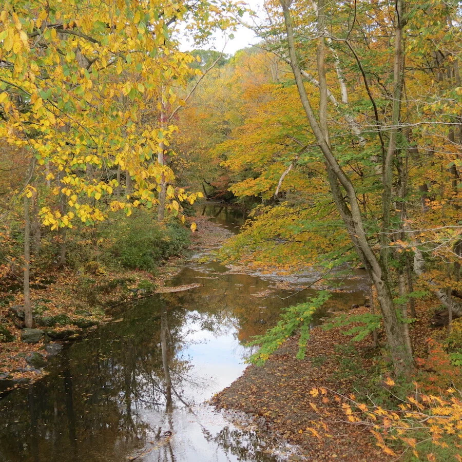 Pawlet, Vermont McChesney Real Estate