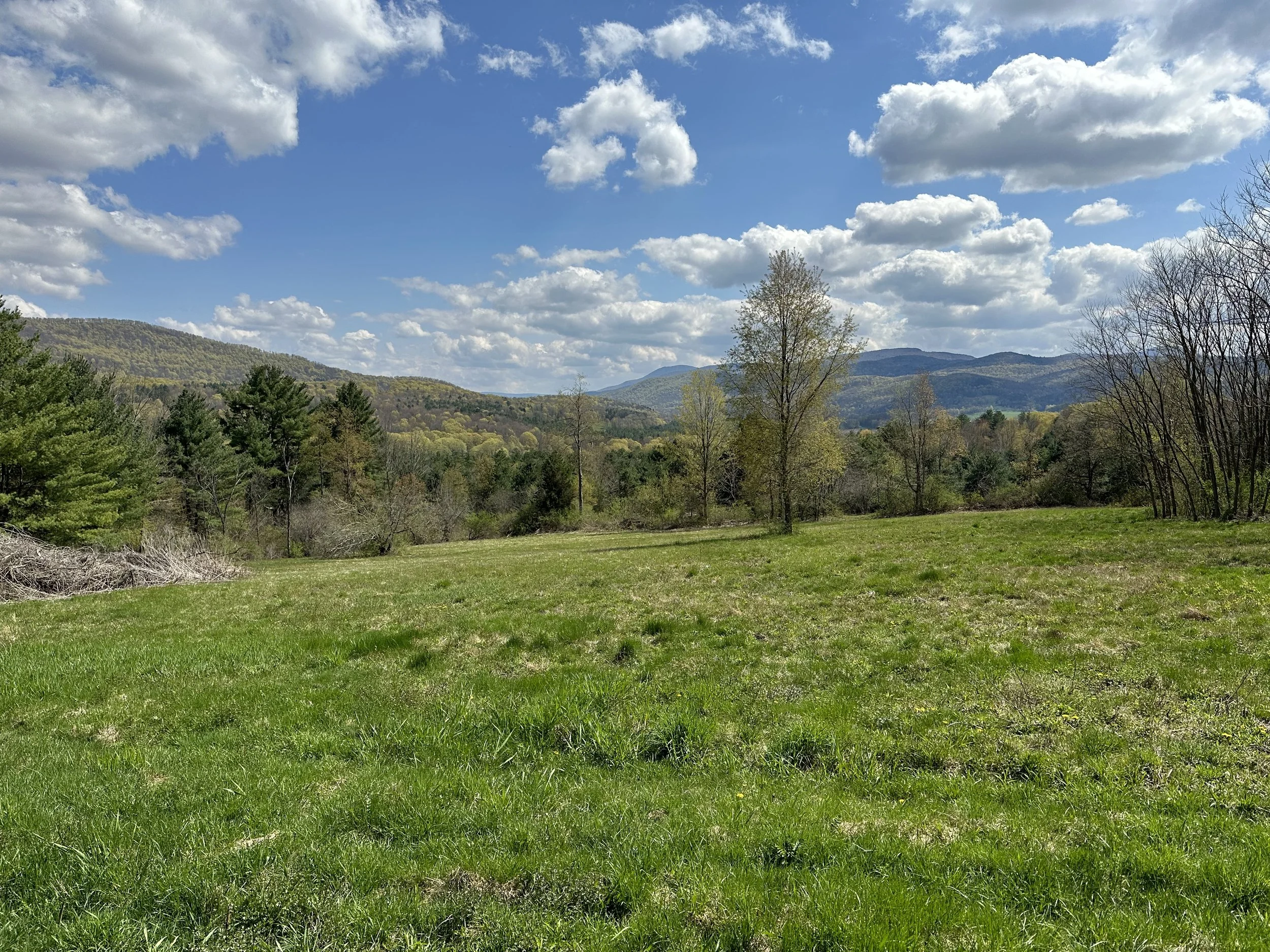 Land for sale in Vermont McChesney Real Estate
