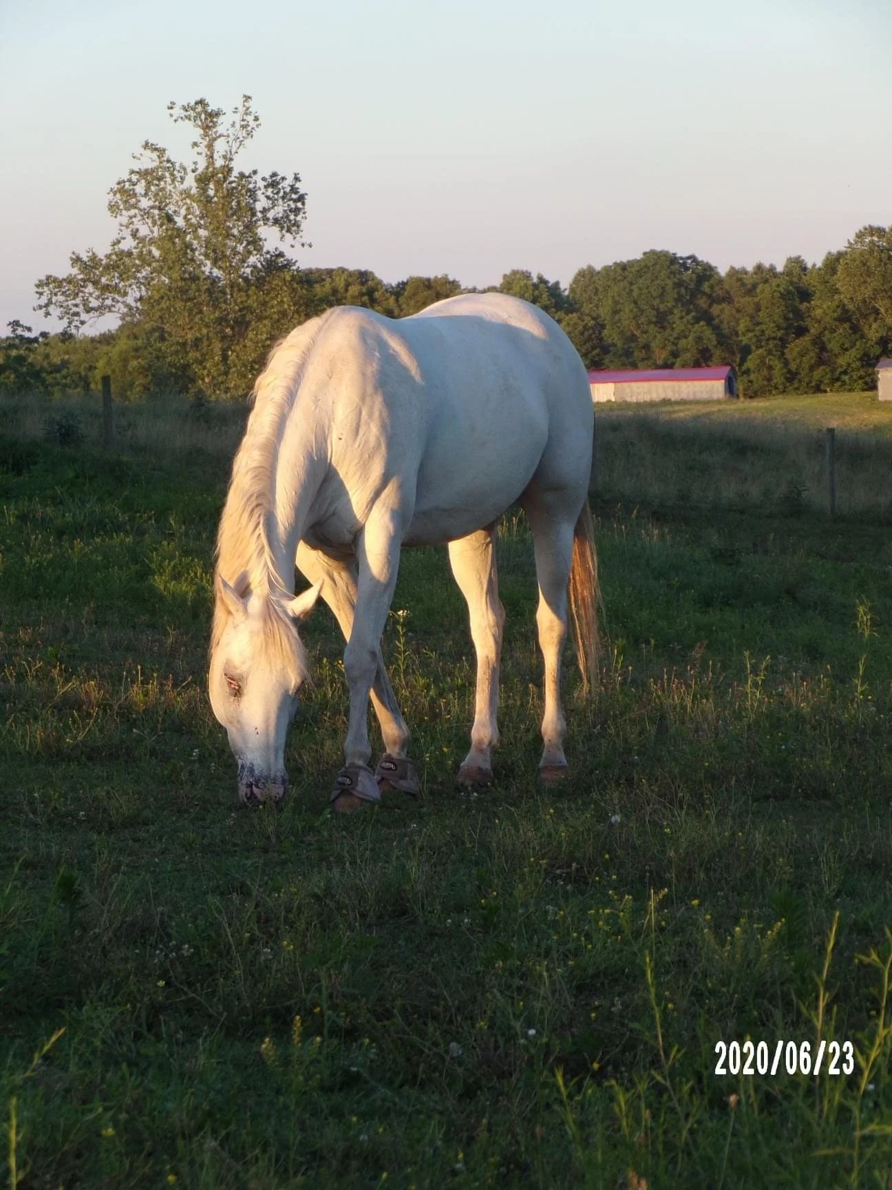 David Simpson Photography