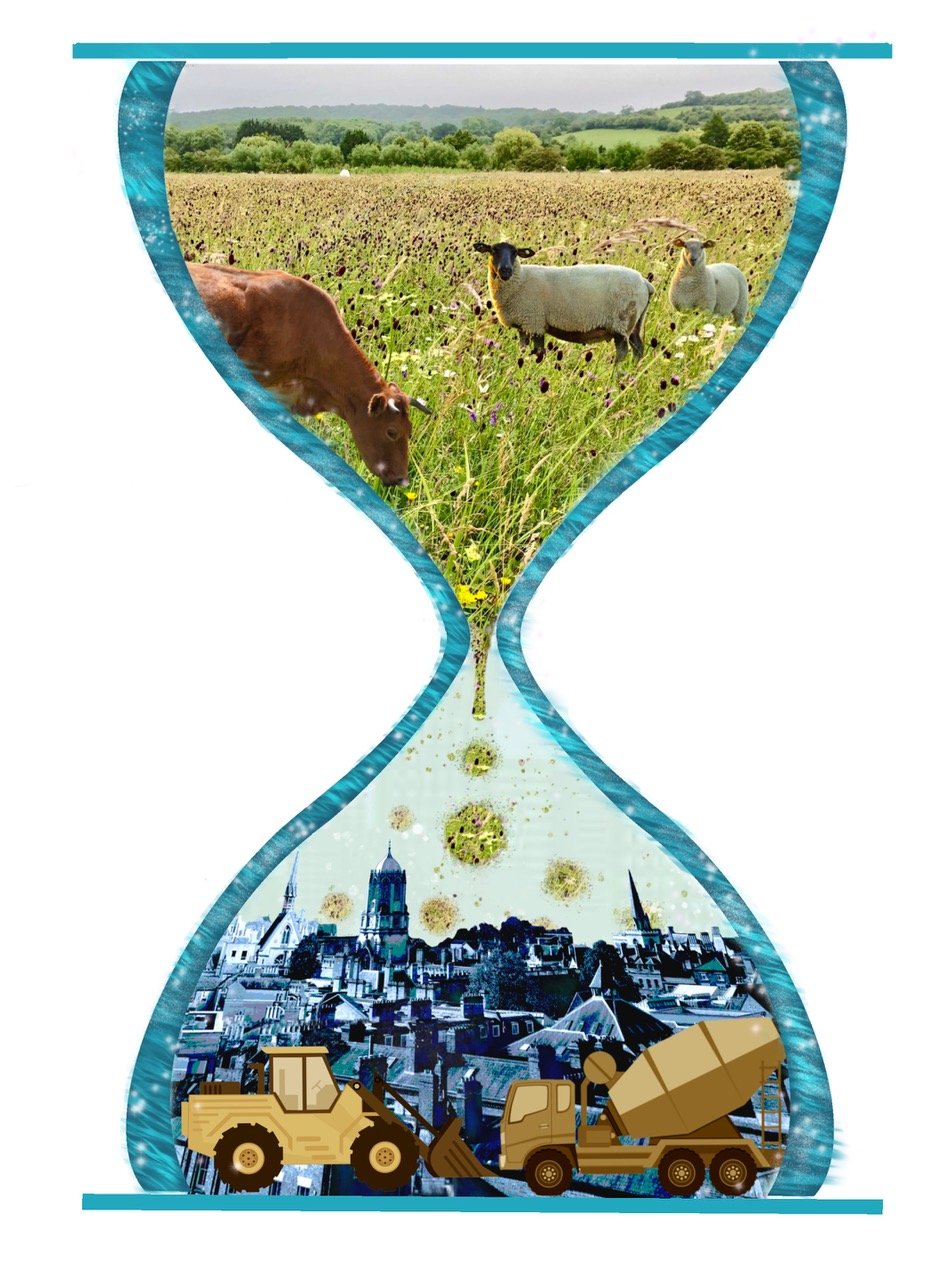 'A Precious Resource'
for The Floodplain Meadows Partnership