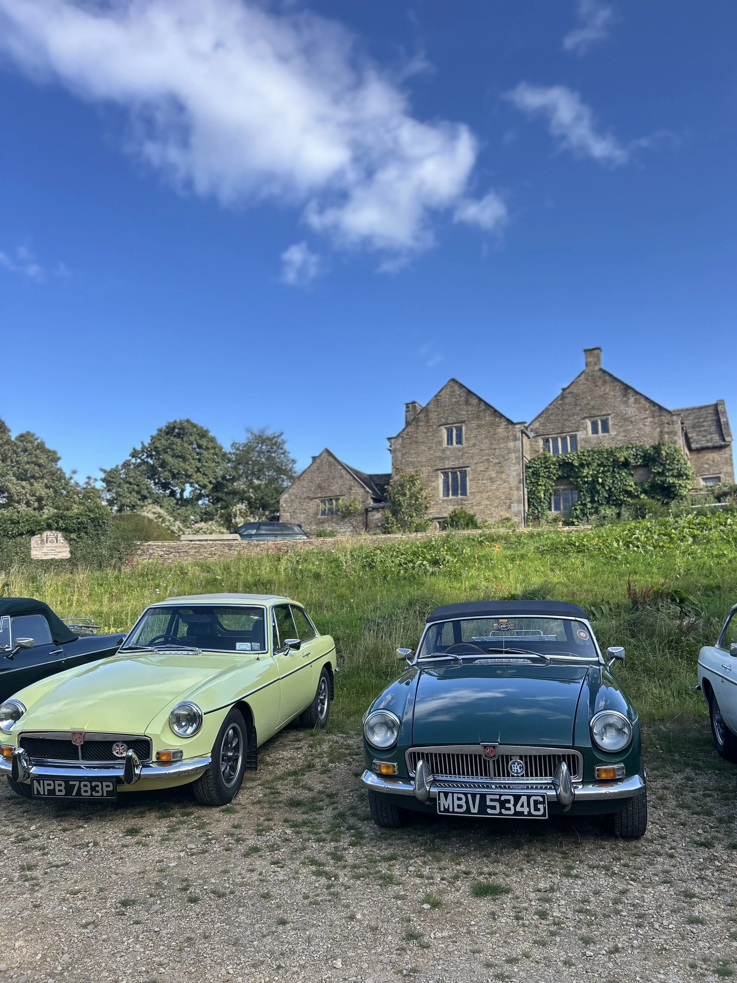 cars and house.jpeg