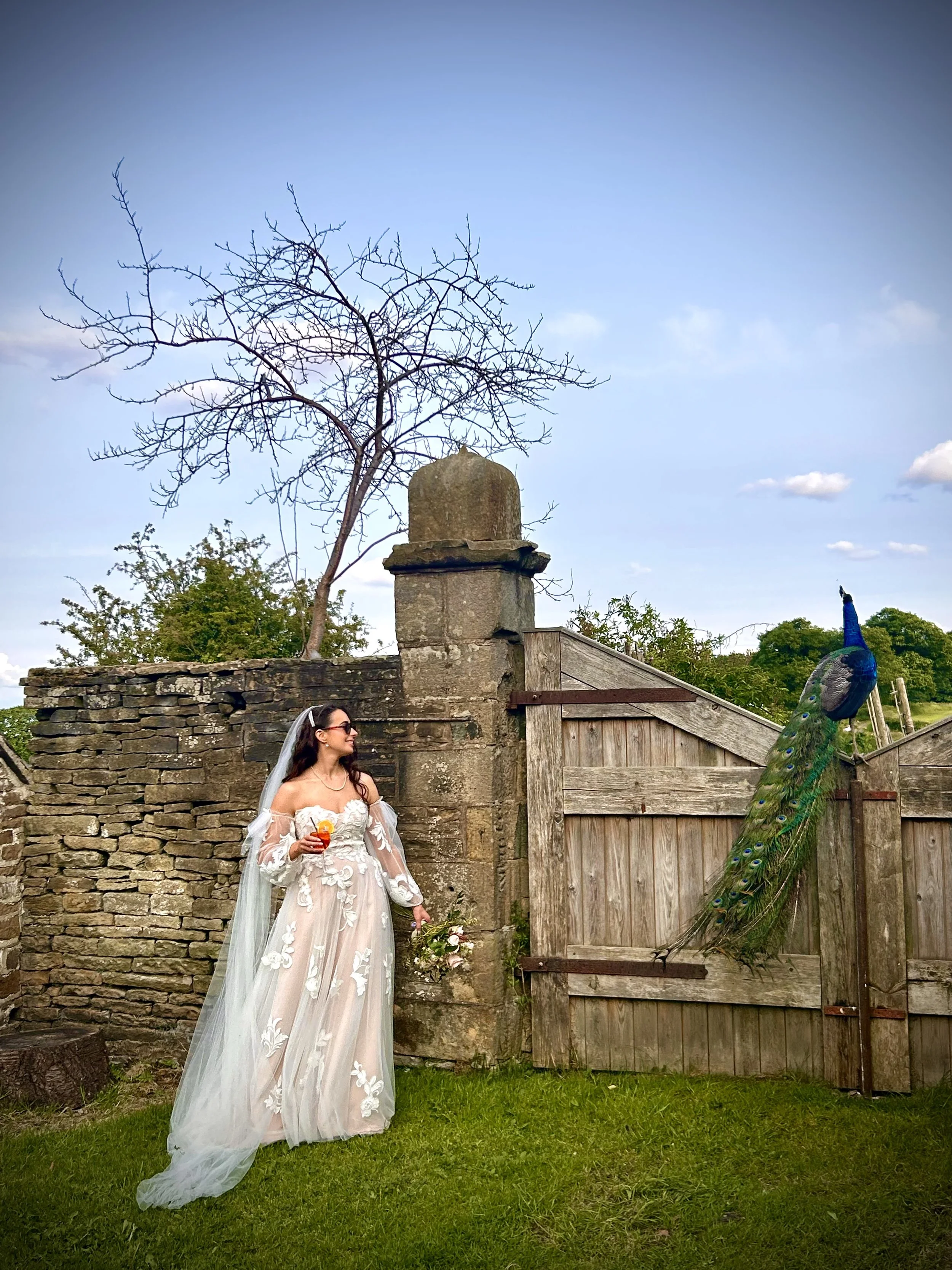 bride x peacock.jpg